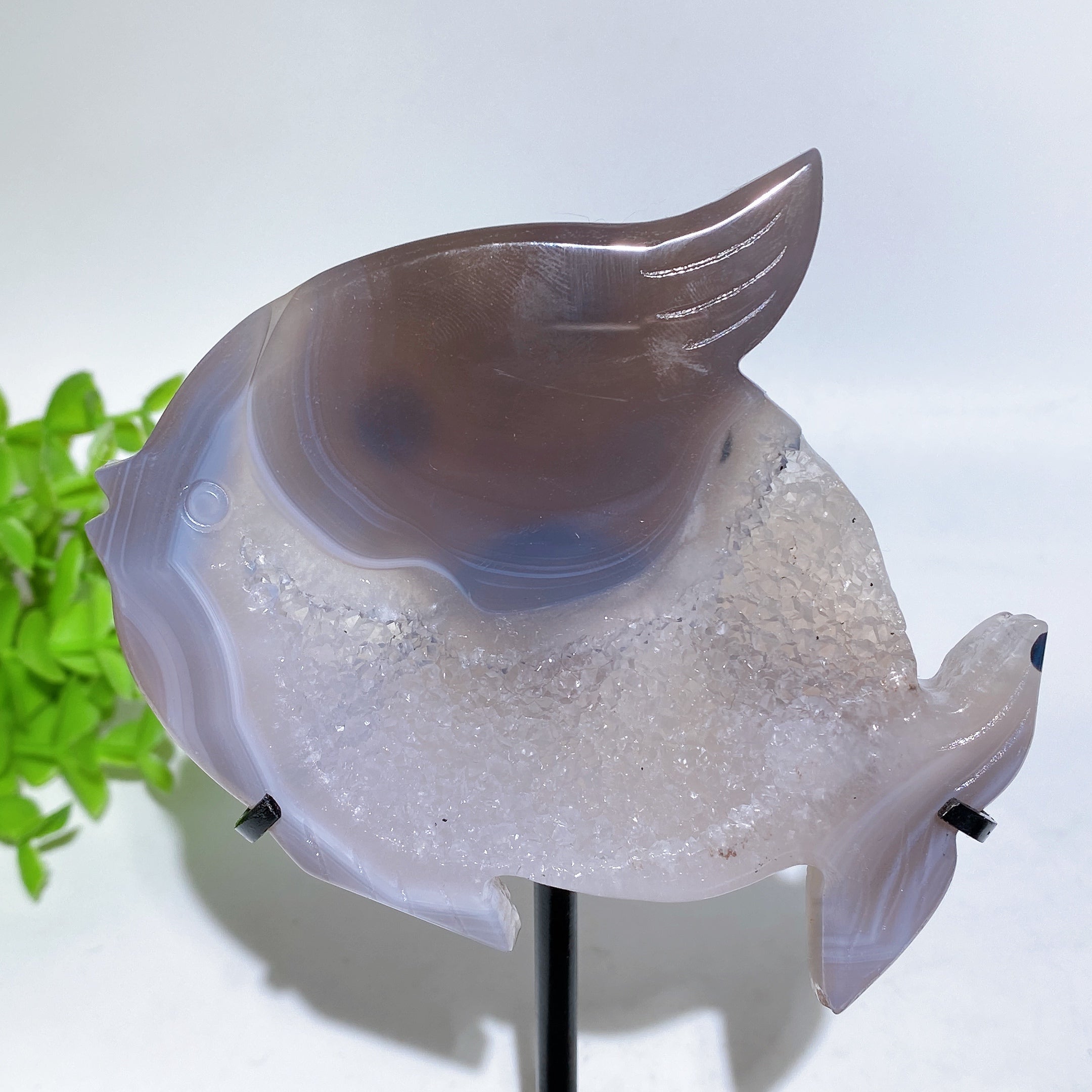 Druzy Agate Fish Carving with Stand for Spiritual Healing