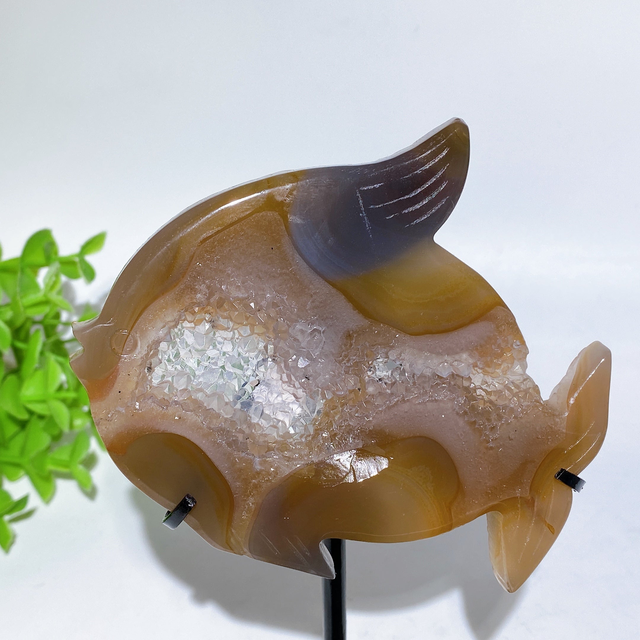 Druzy Agate Fish Carving with Stand for Spiritual Healing