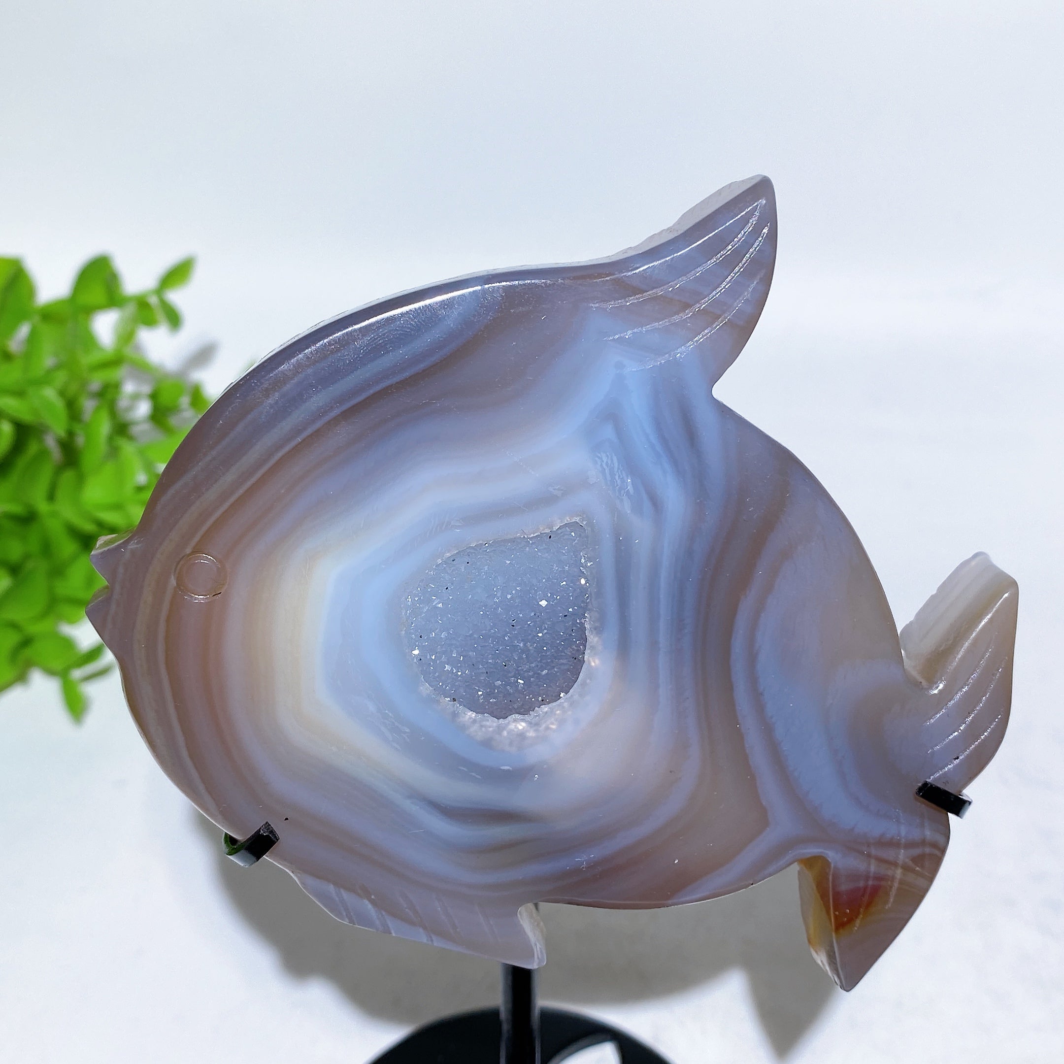 Druzy Agate Fish Carving with Stand for Spiritual Healing