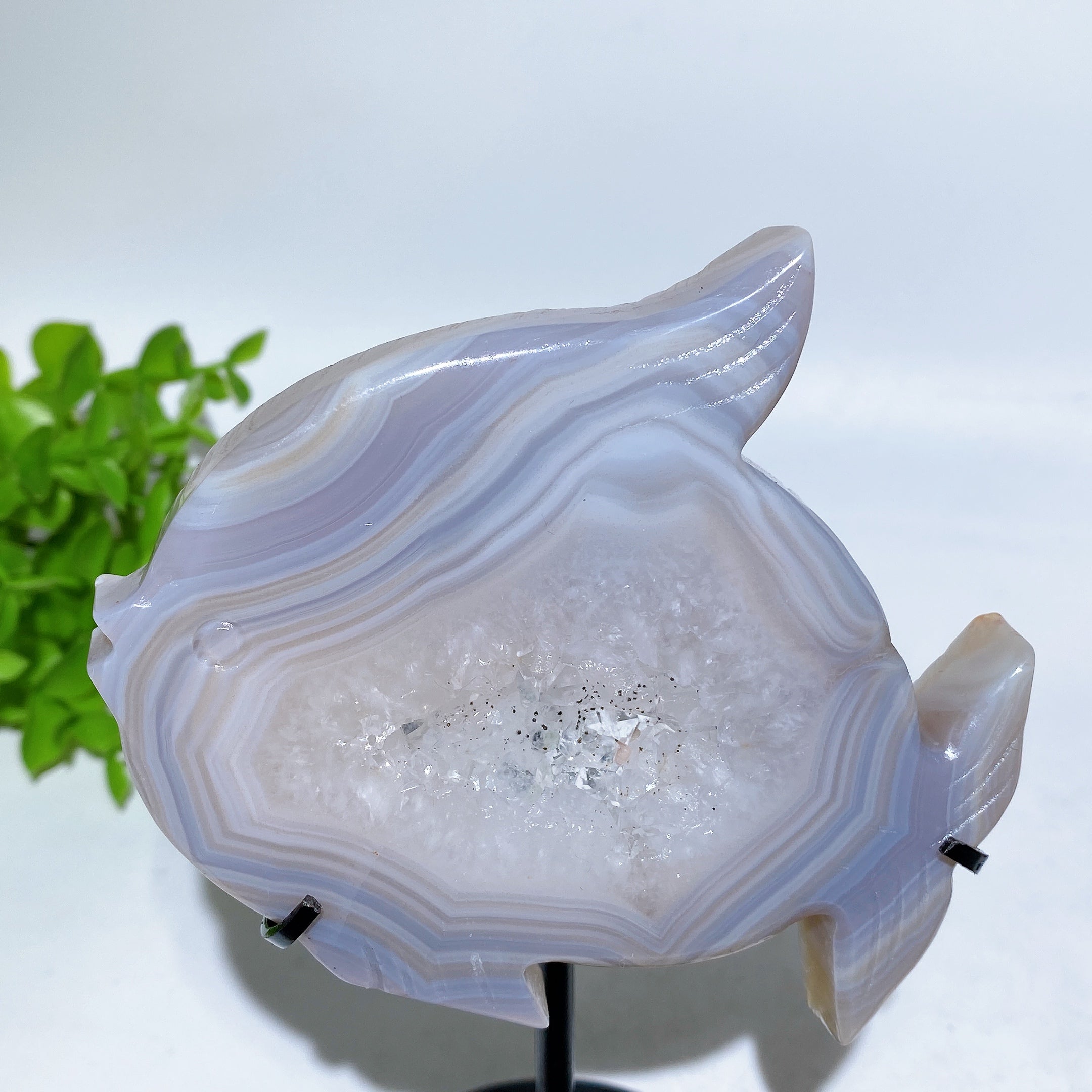 Druzy Agate Fish Carving with Stand for Spiritual Healing
