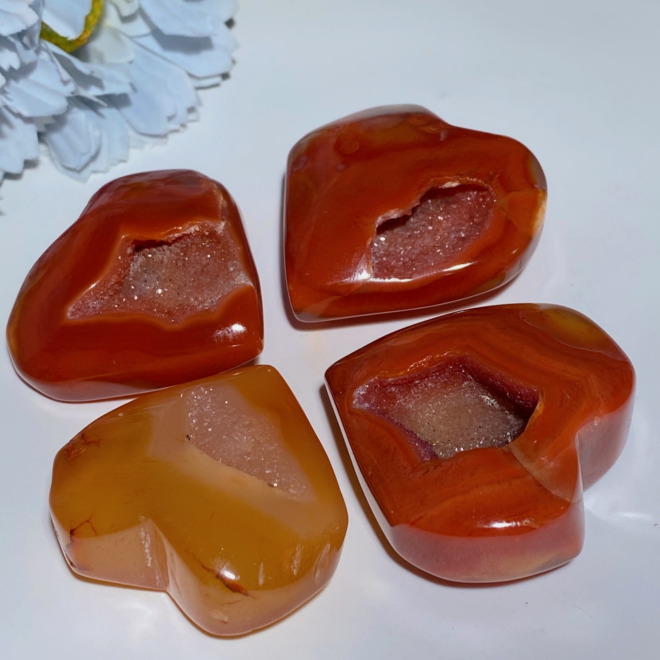 Druzy Carnelian Crystal Heart Carvings 1.2-3.0 Inches
