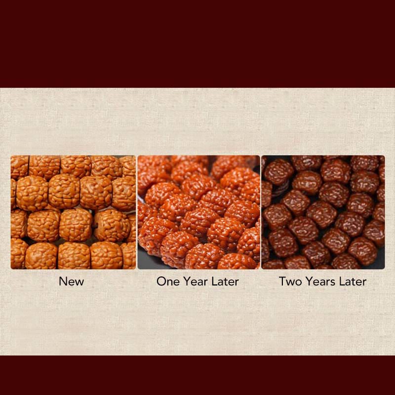 Tibet 108 Beads Bodhi Seed Zodiac Charm Mala Bracelet