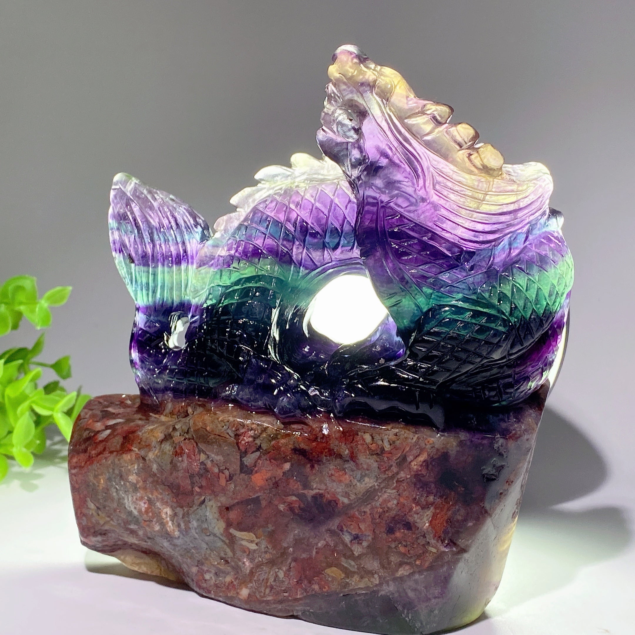 Fluorite Crystal Dragon Carving 5.3-8.5 Inch Healing Sculpture