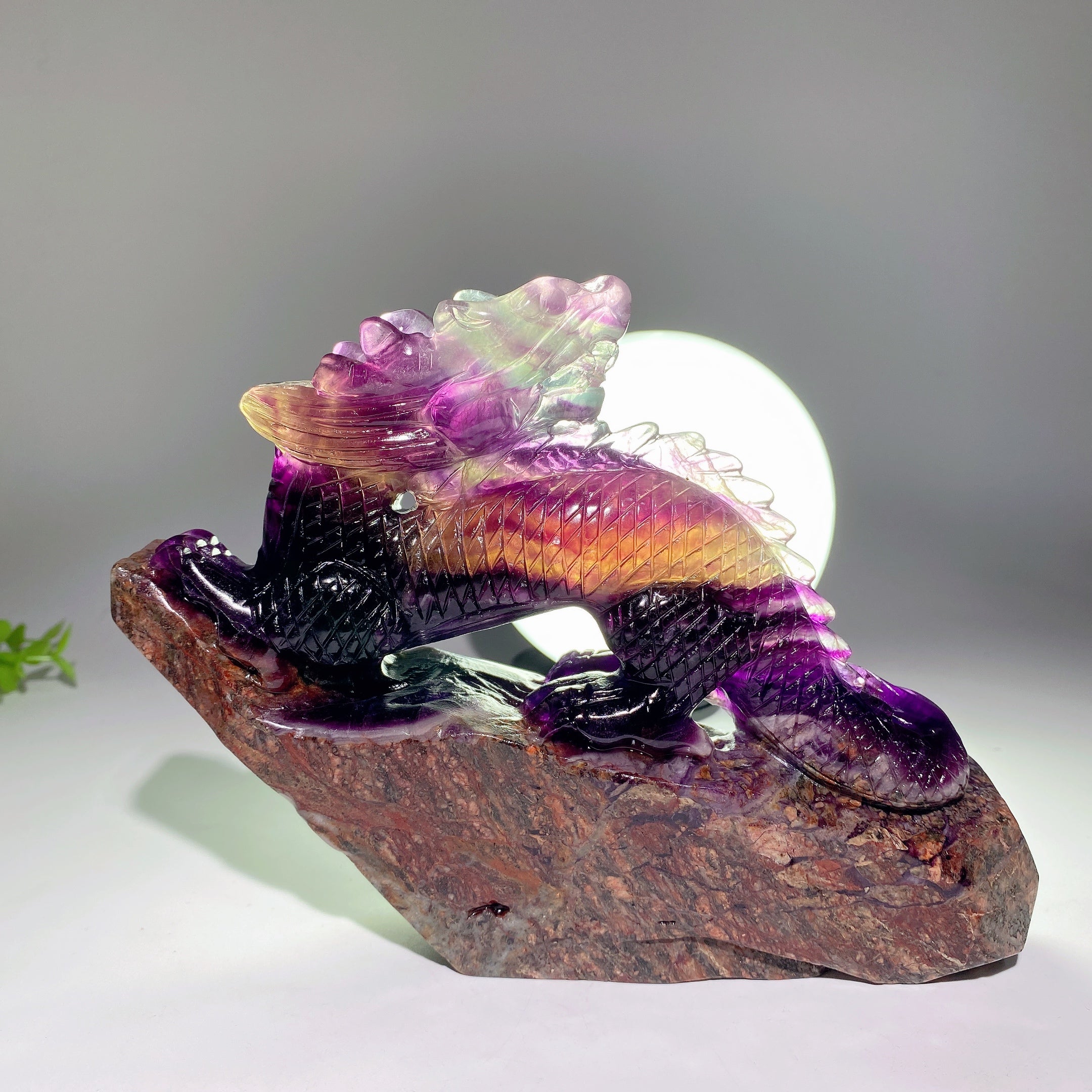 Fluorite Crystal Dragon Carving 5.3-8.5 Inch Healing Sculpture