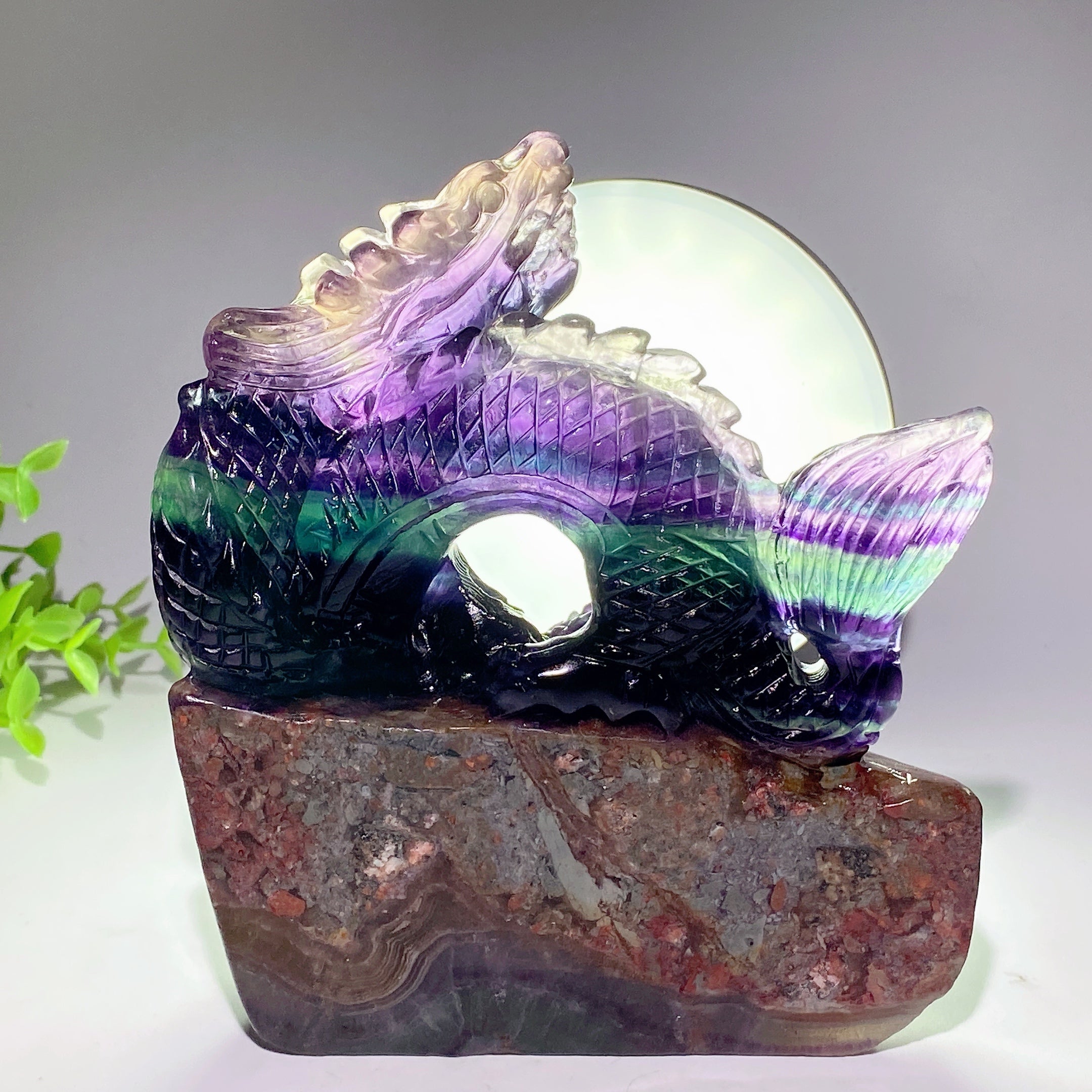 Fluorite Crystal Dragon Carving 5.3-8.5 Inch Healing Sculpture