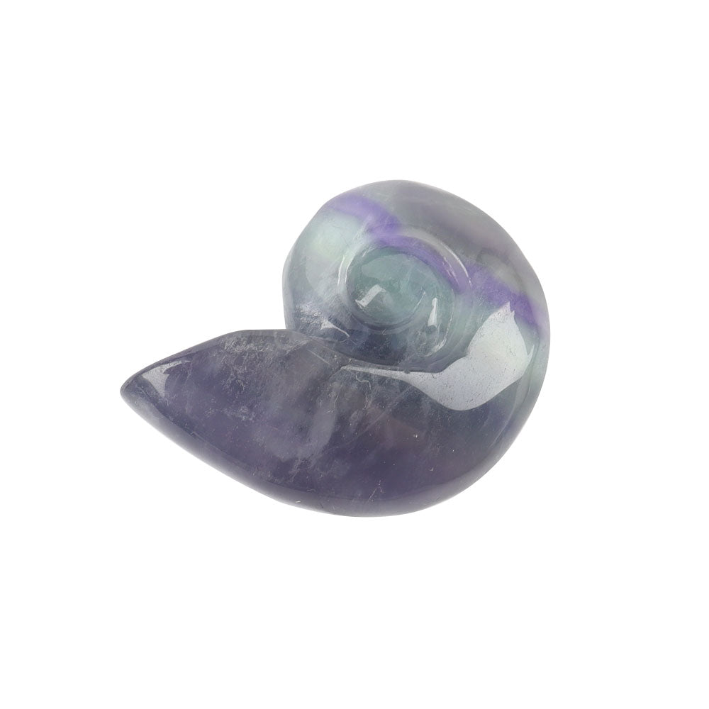 Fluorite Crystal Snail Shell Carving 1.92" Hand-Carved Figurine
