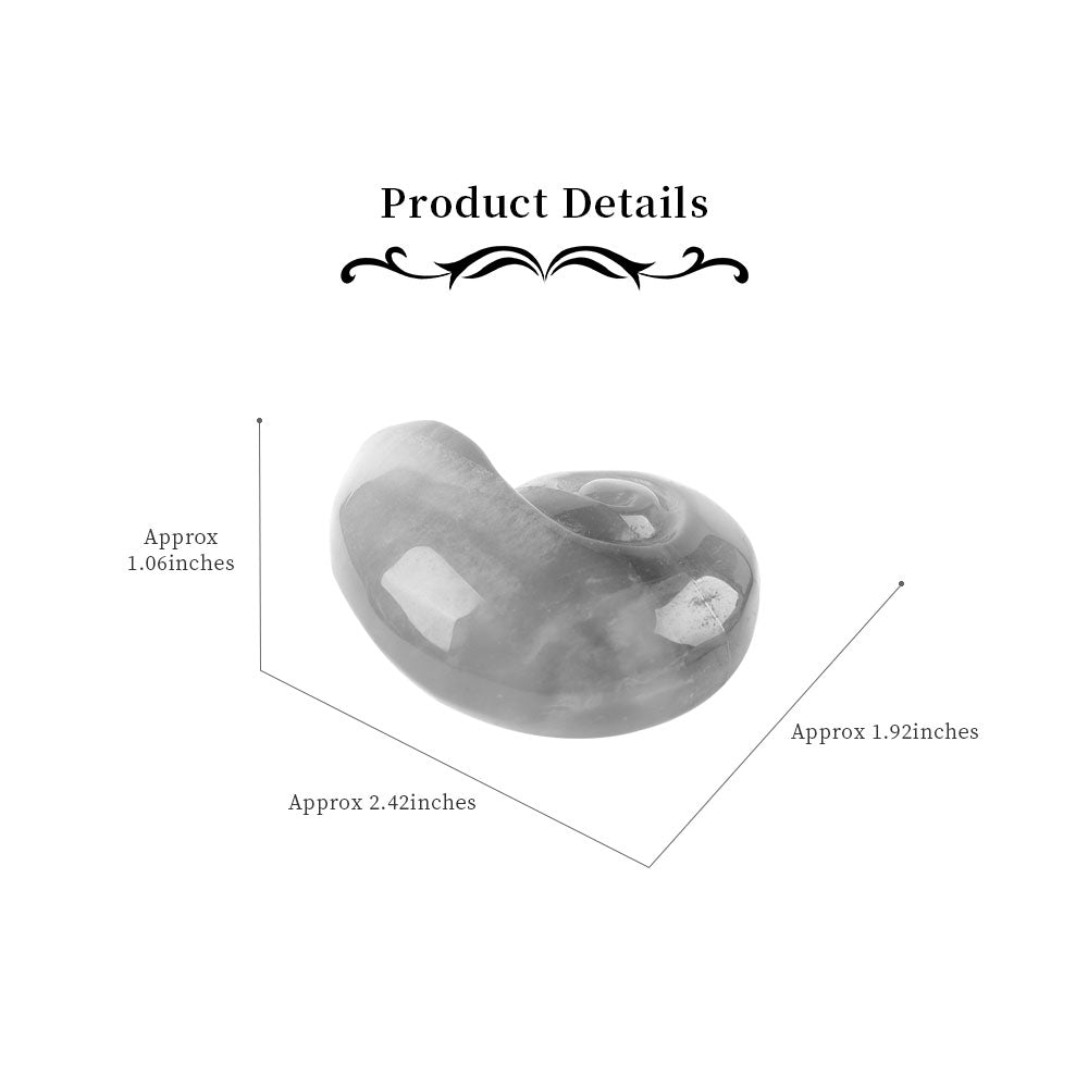 Fluorite Crystal Snail Shell Carving 1.92" Hand-Carved Figurine