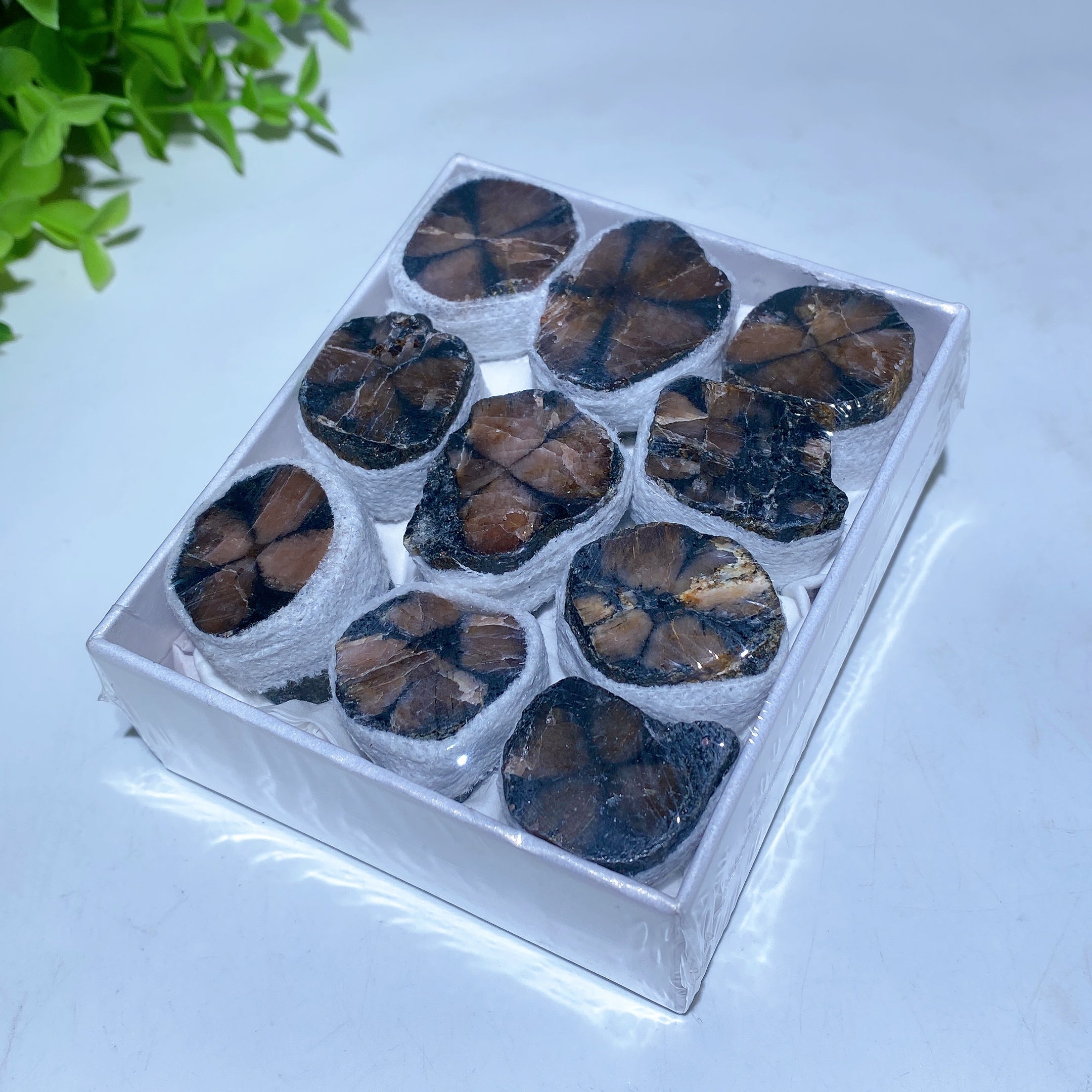 Gemstone Crystal Specimens Box 8.5cm High Vibration Minerals