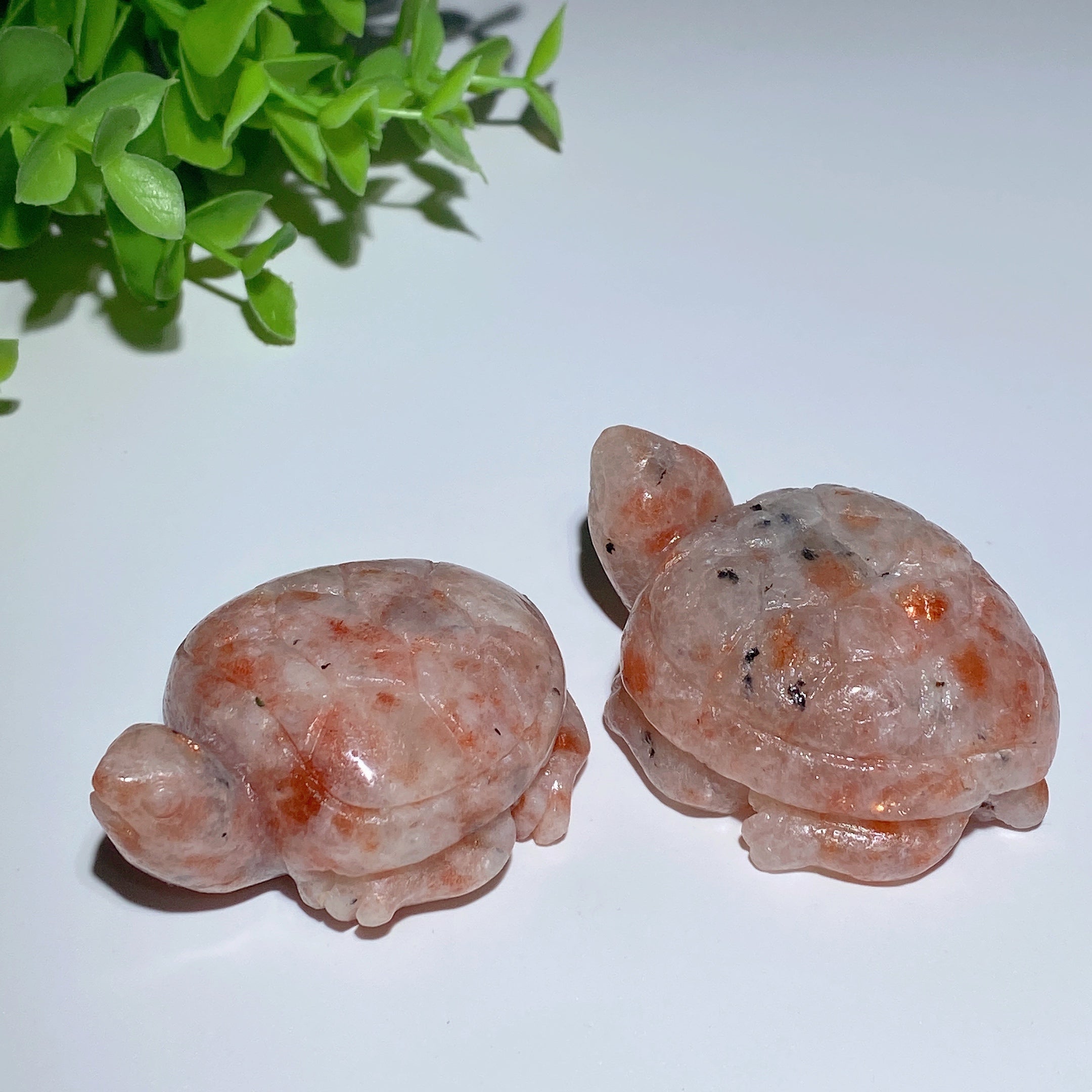 Golden Strawberry Quartz Crystal Turtle 2.3-2.5in for Prosperity