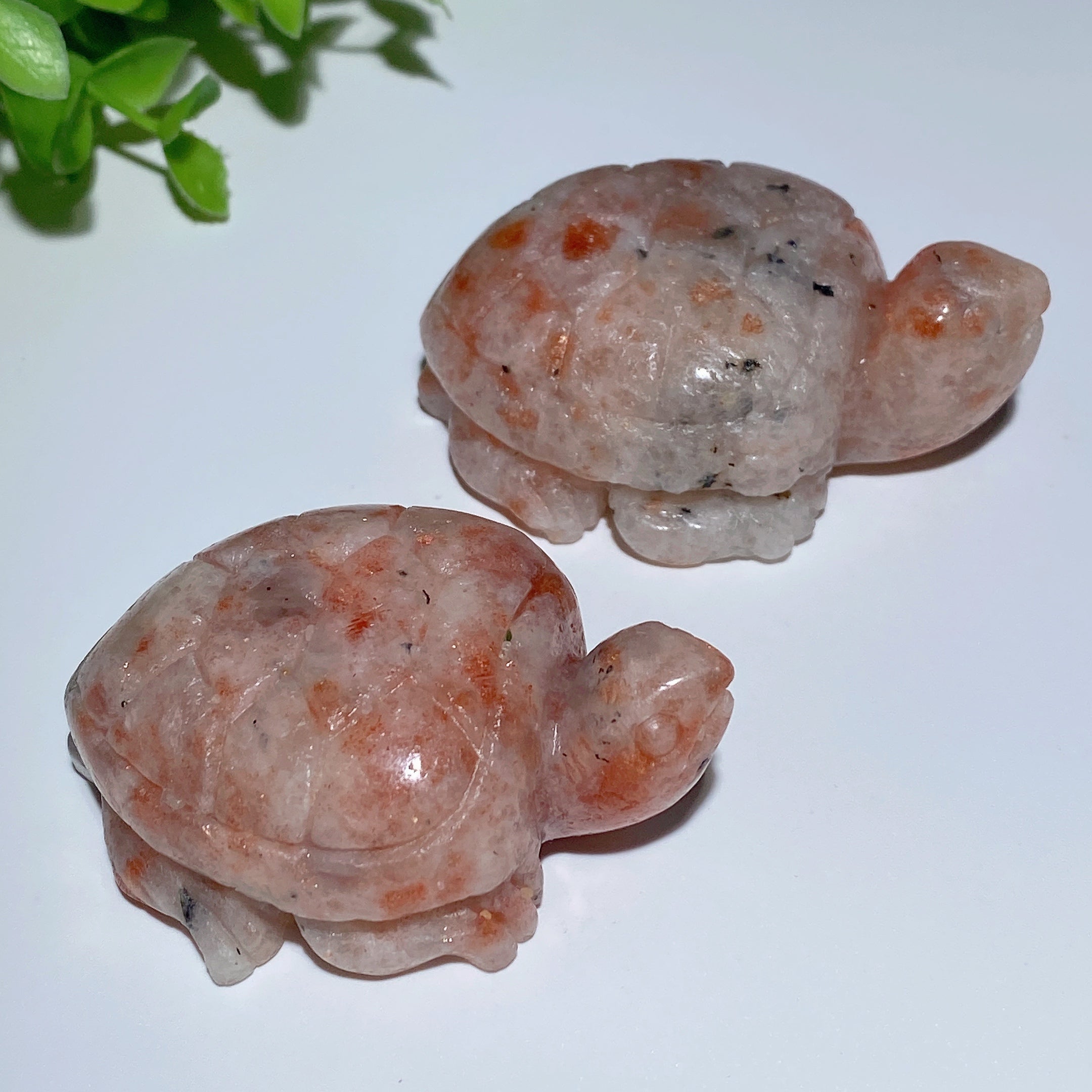 Golden Strawberry Quartz Crystal Turtle 2.3-2.5in for Prosperity