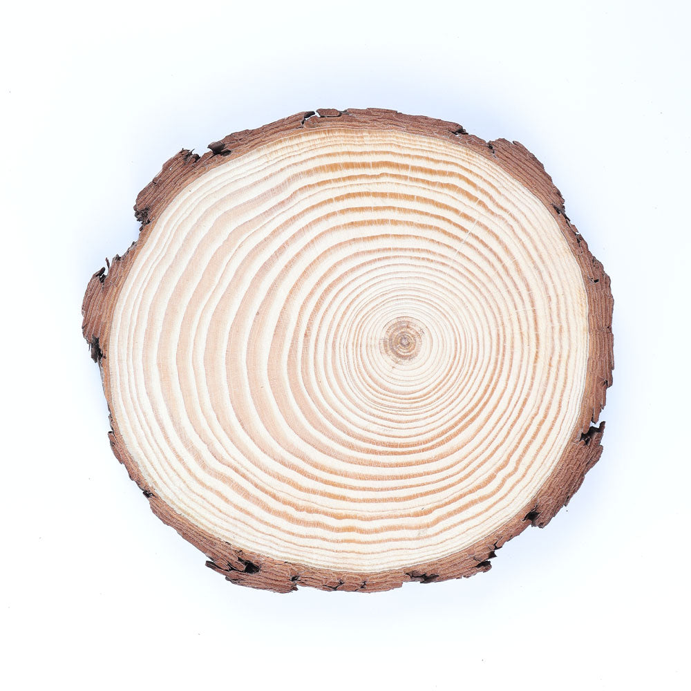 Irregular Round Wooden Coaster Natural Wood 6.25-7.03 inch