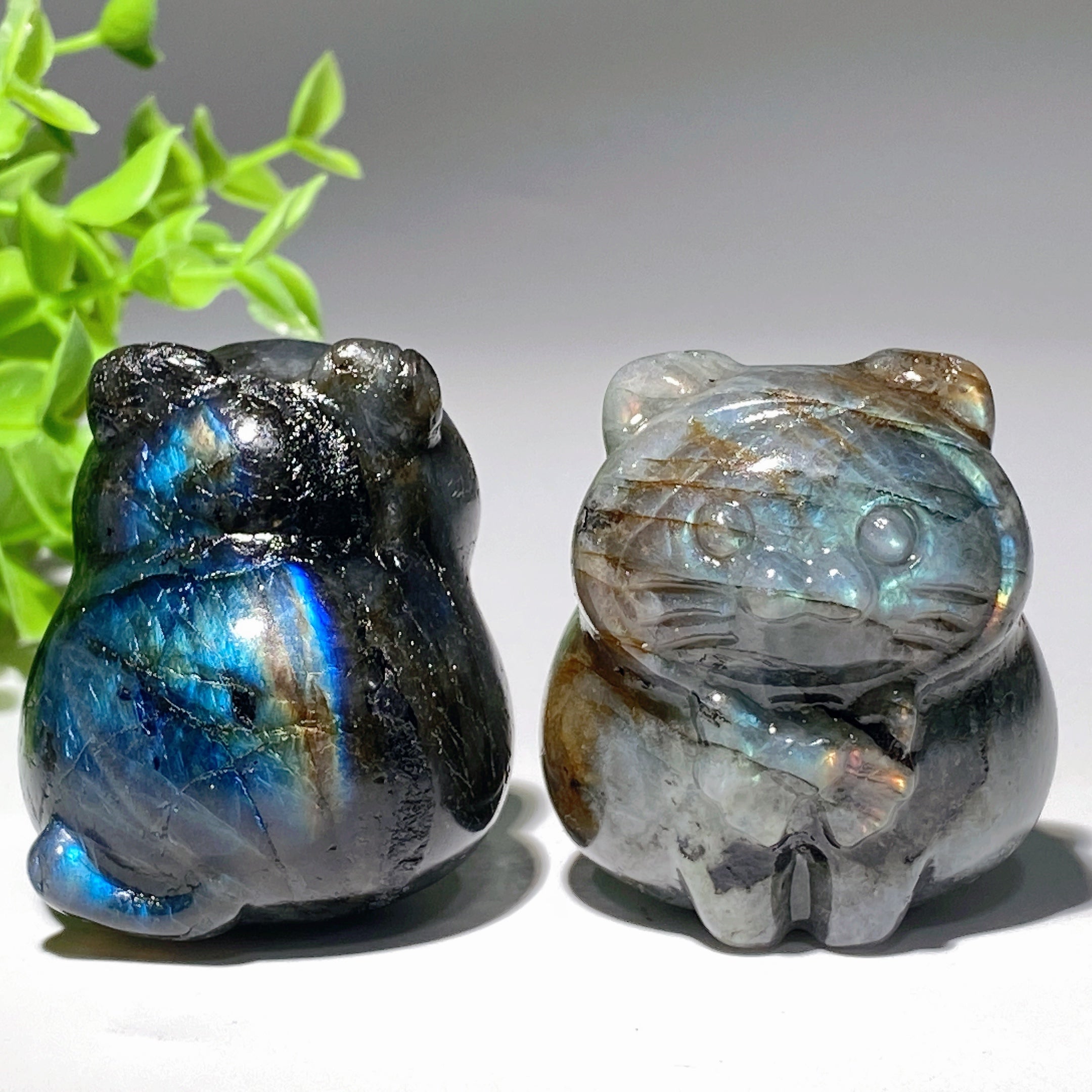 Labradorite Cat Carving 2-inch Crystal Figurine