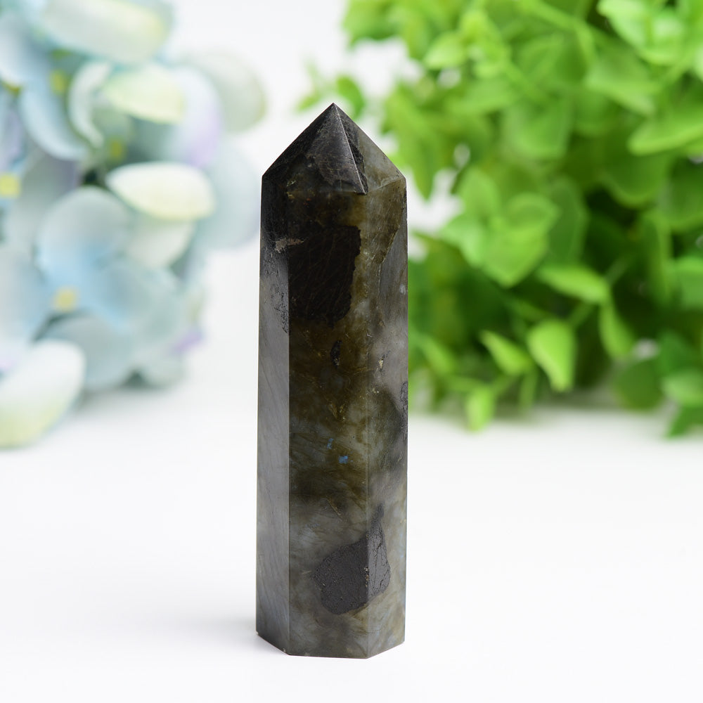 Labradorite Crystal Points 2.5-4.5 Inches Healing Stones