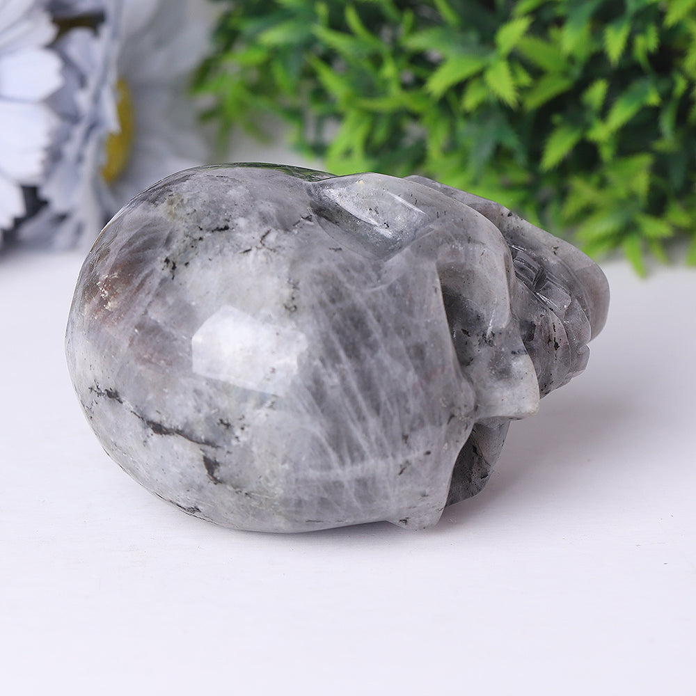 Labradorite Crystal Skull Carvings 3.5-4.7 Inch Display