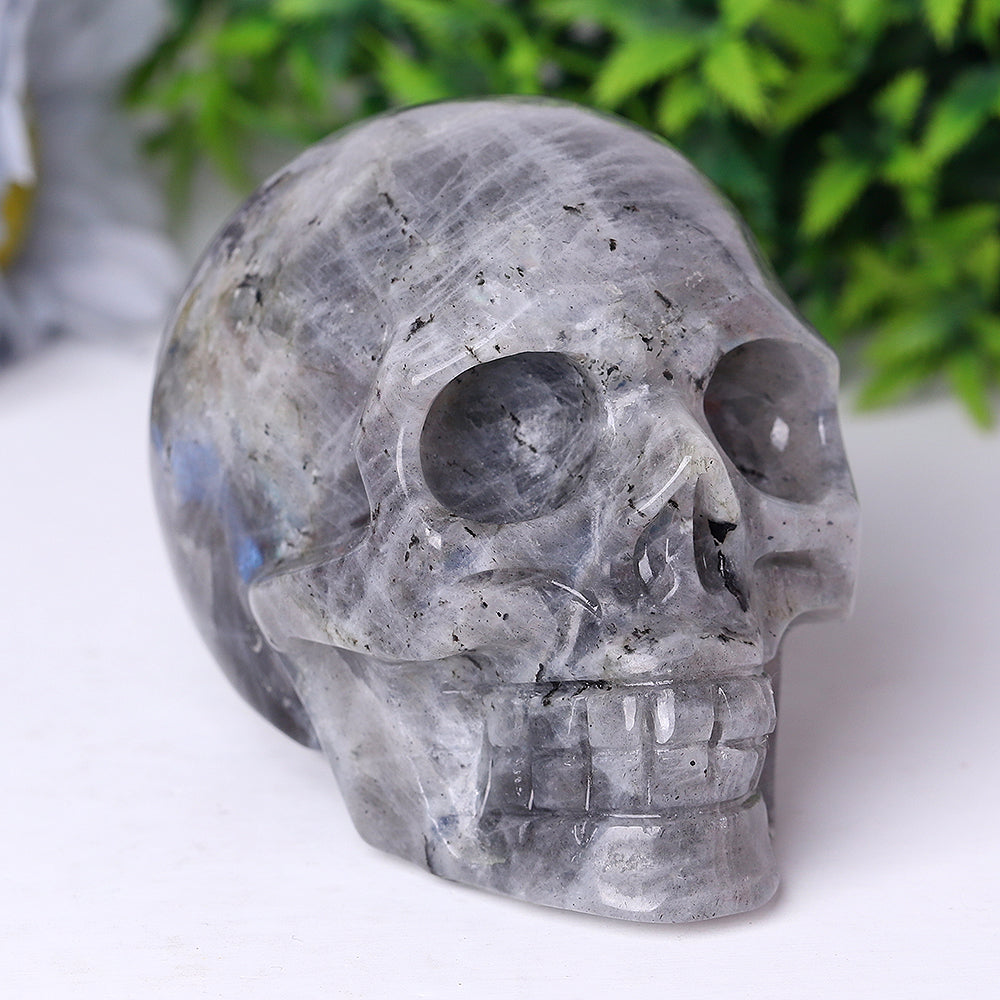 Labradorite Crystal Skull Carvings 3.5-4.7 Inch Display