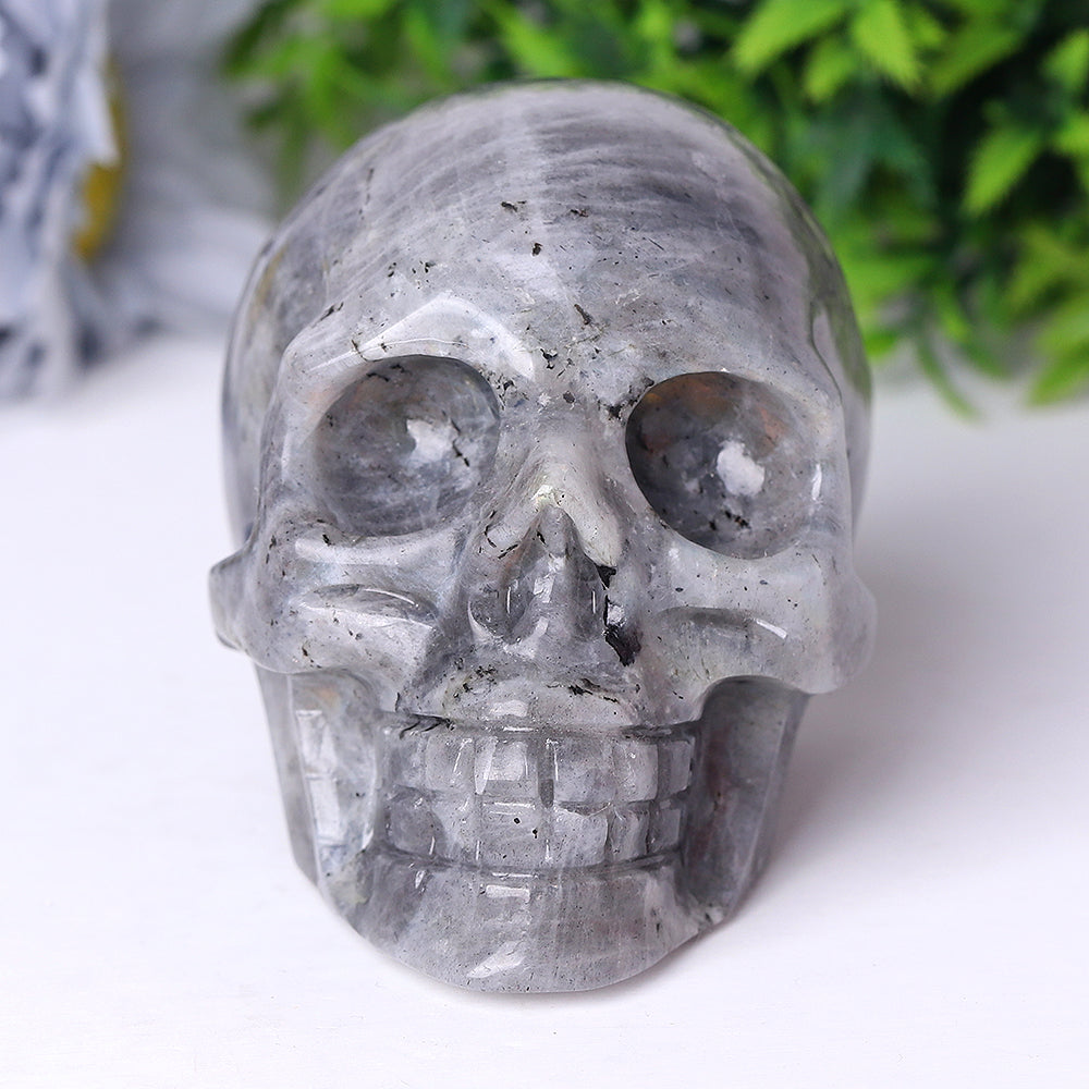 Labradorite Crystal Skull Carvings 3.5-4.7 Inch Display