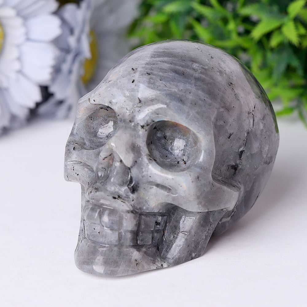 Labradorite Crystal Skull Carvings 3.5-4.7 Inch Display