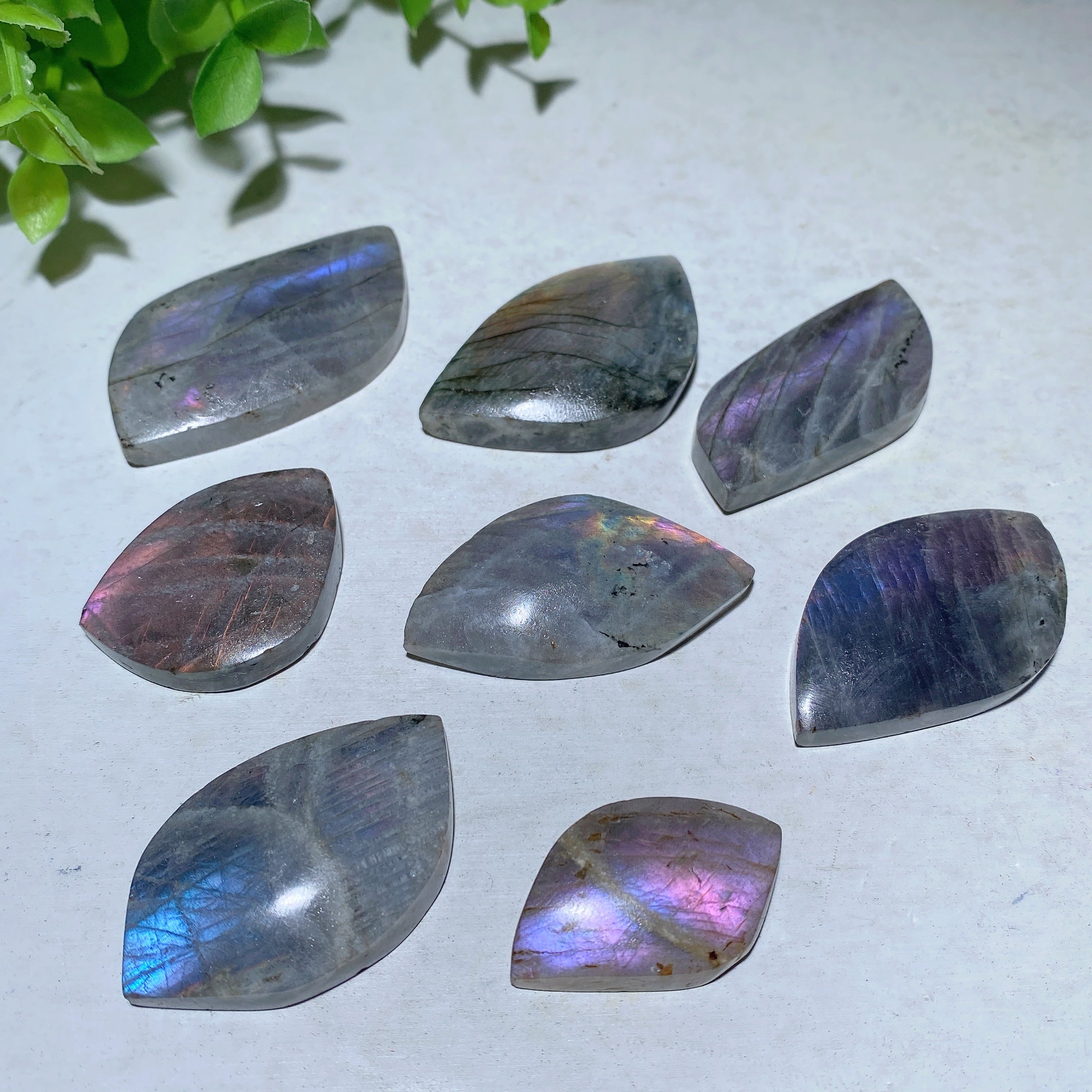 Labradorite Palm Stone 1.0-2.0 Inch Healing Crystal