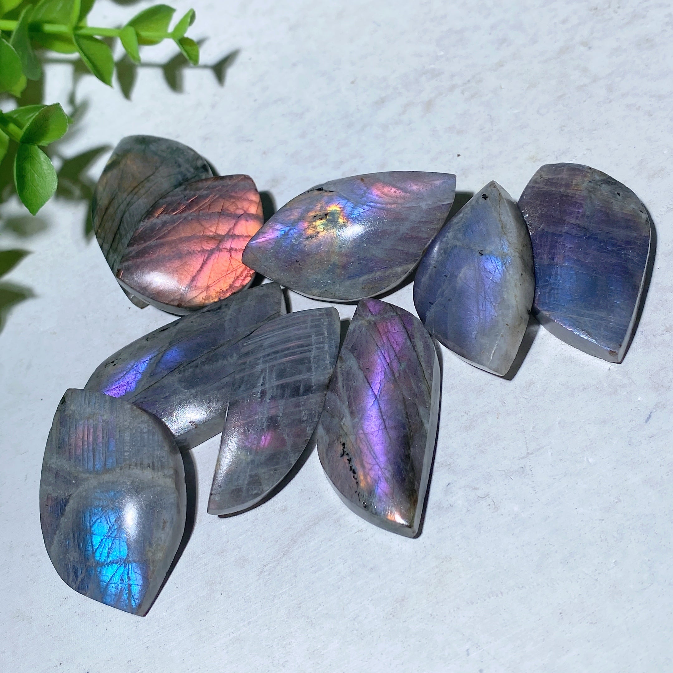 Labradorite Palm Stone 1.0-2.0 Inch Healing Crystal