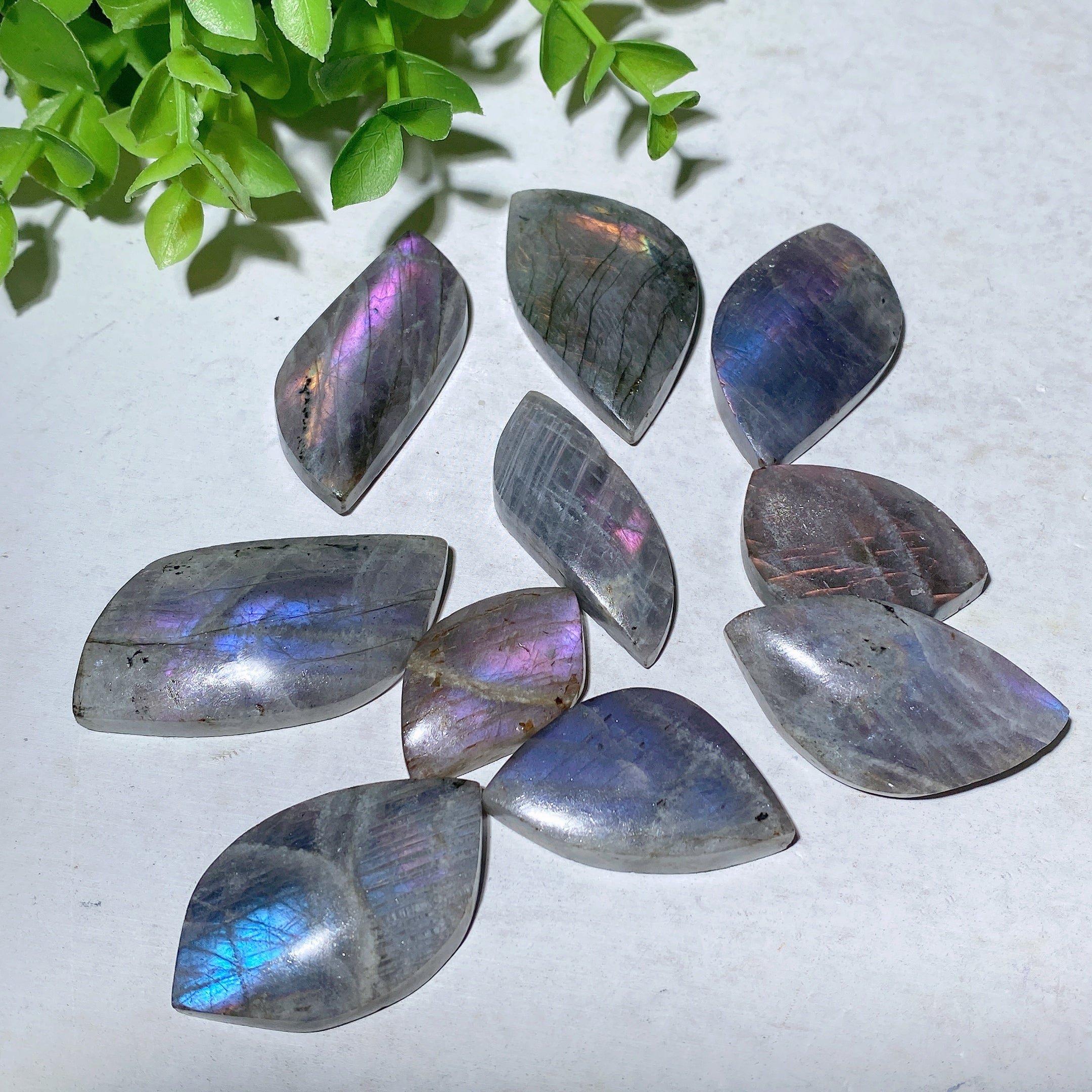 Labradorite Palm Stone 1.0-2.0 Inch Healing Crystal