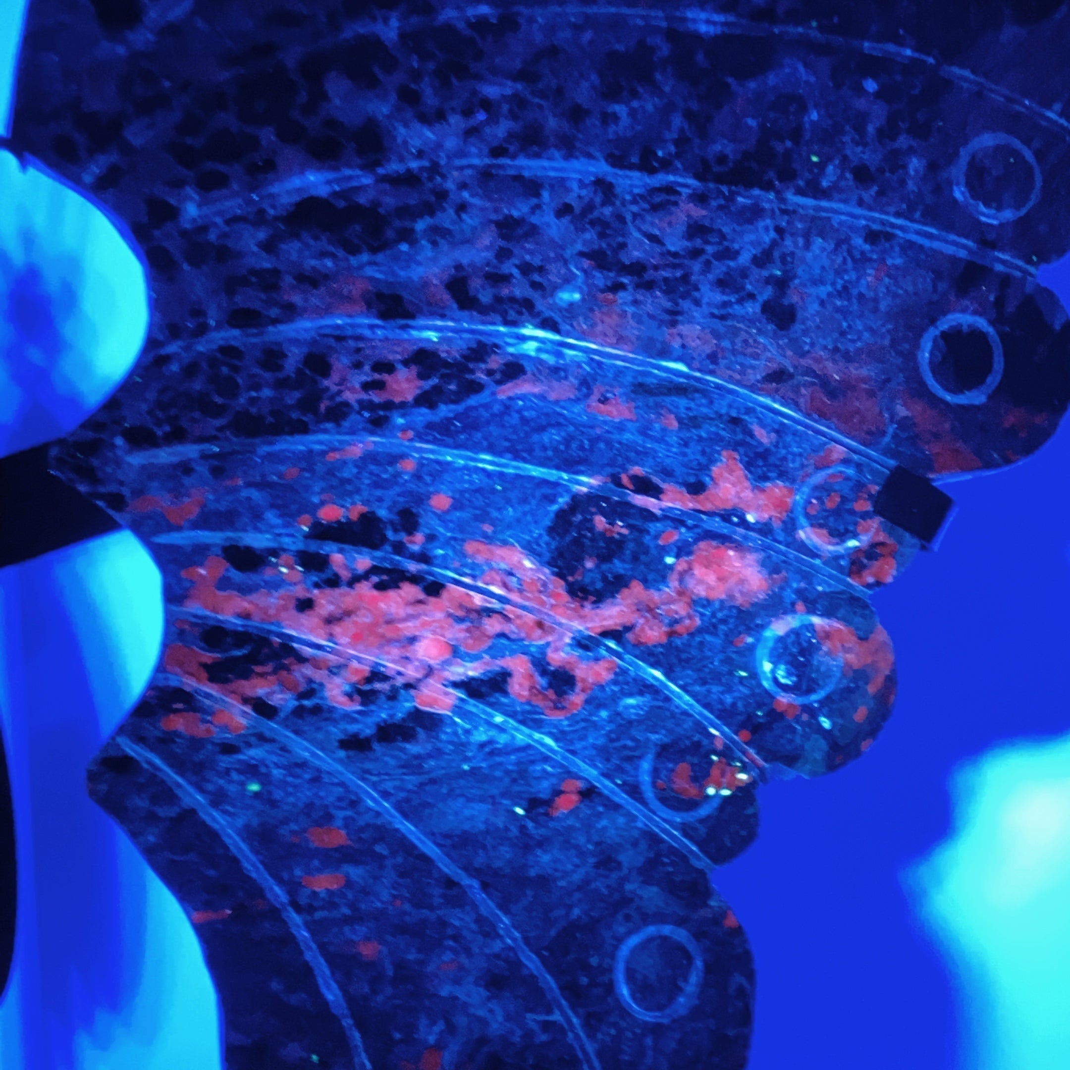 Large Charoite & Calcite Butterfly Wings Crystal Figurine on Stand