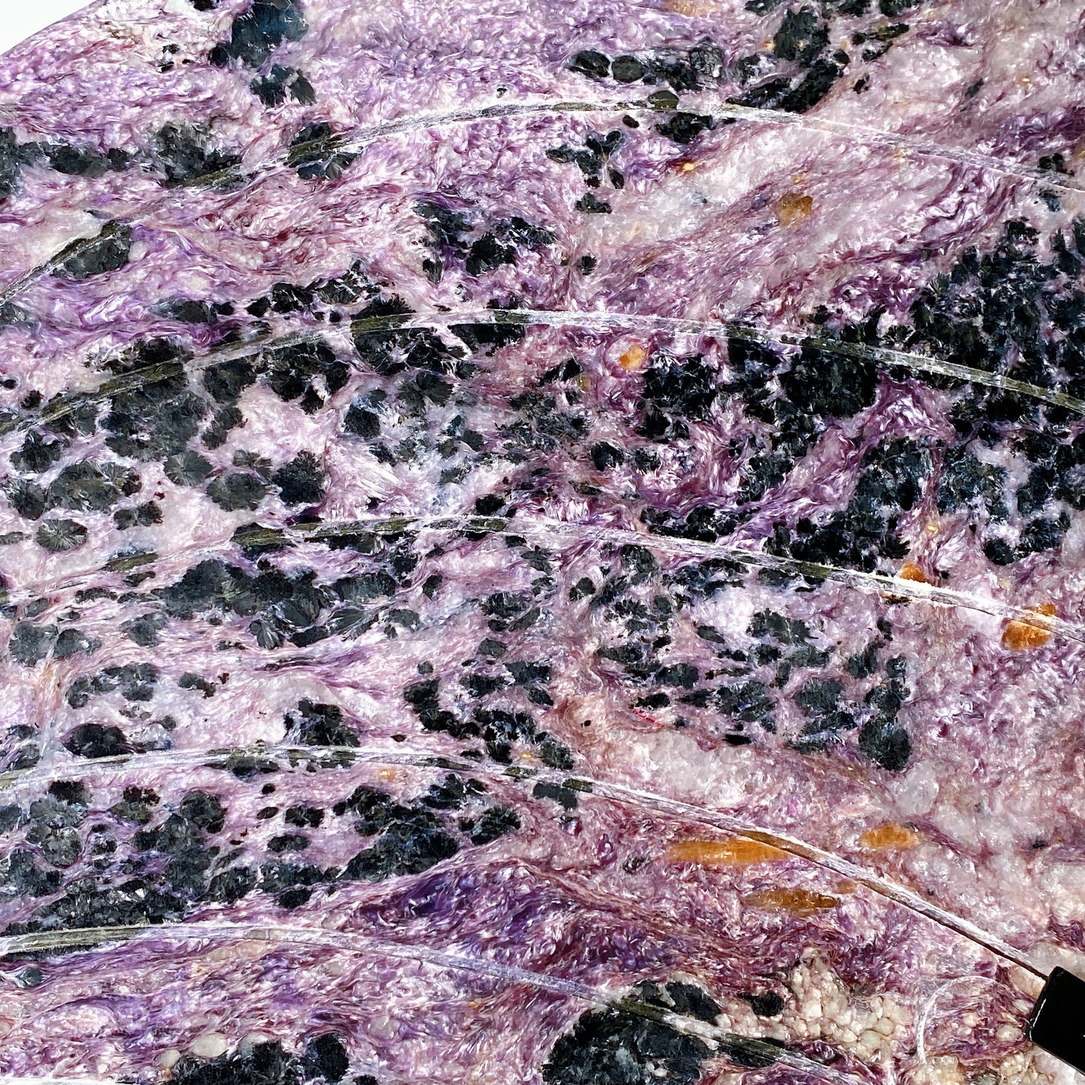 Large Charoite & Calcite Butterfly Wings Crystal Figurine on Stand