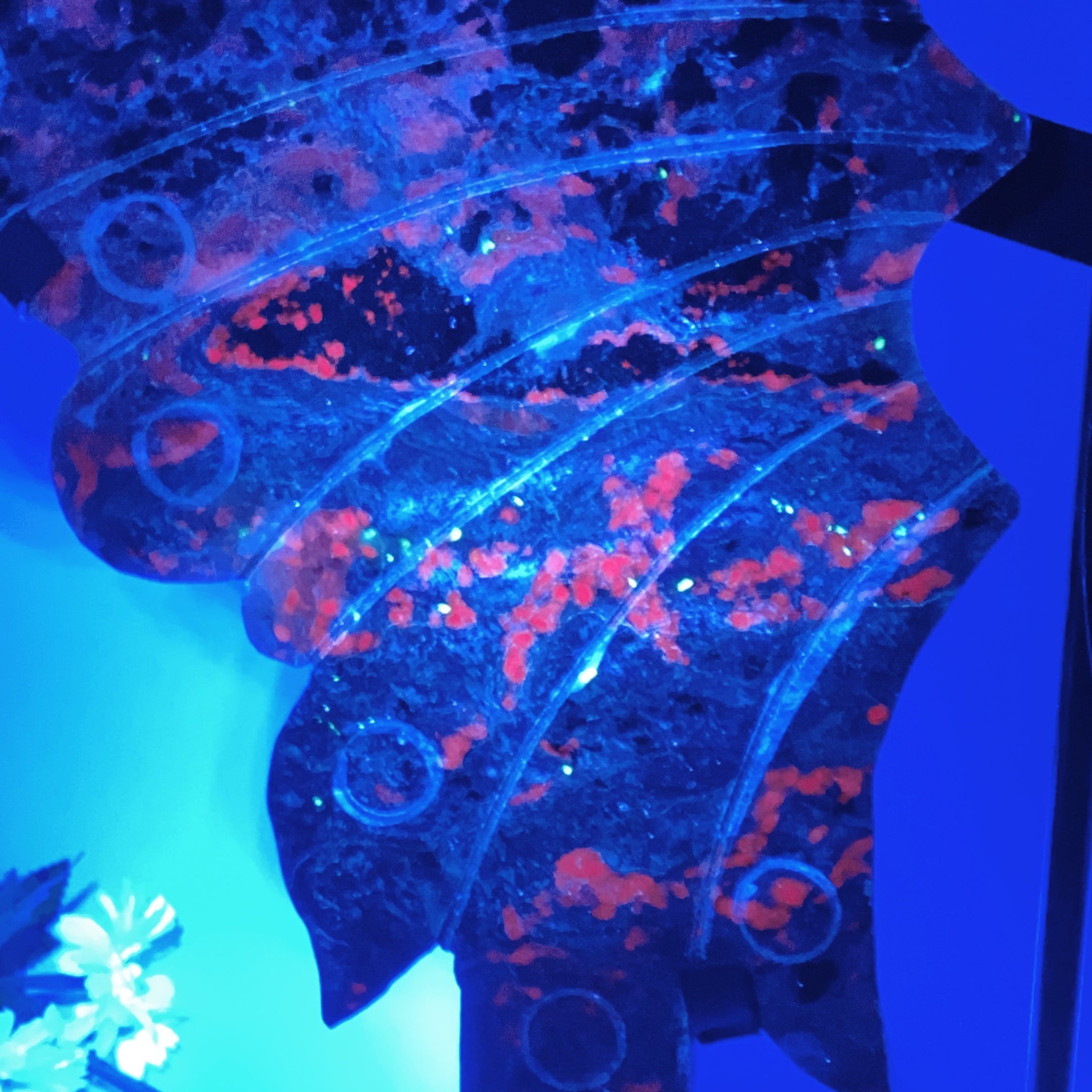 Large Charoite & Calcite Butterfly Wings Crystal Figurine on Stand