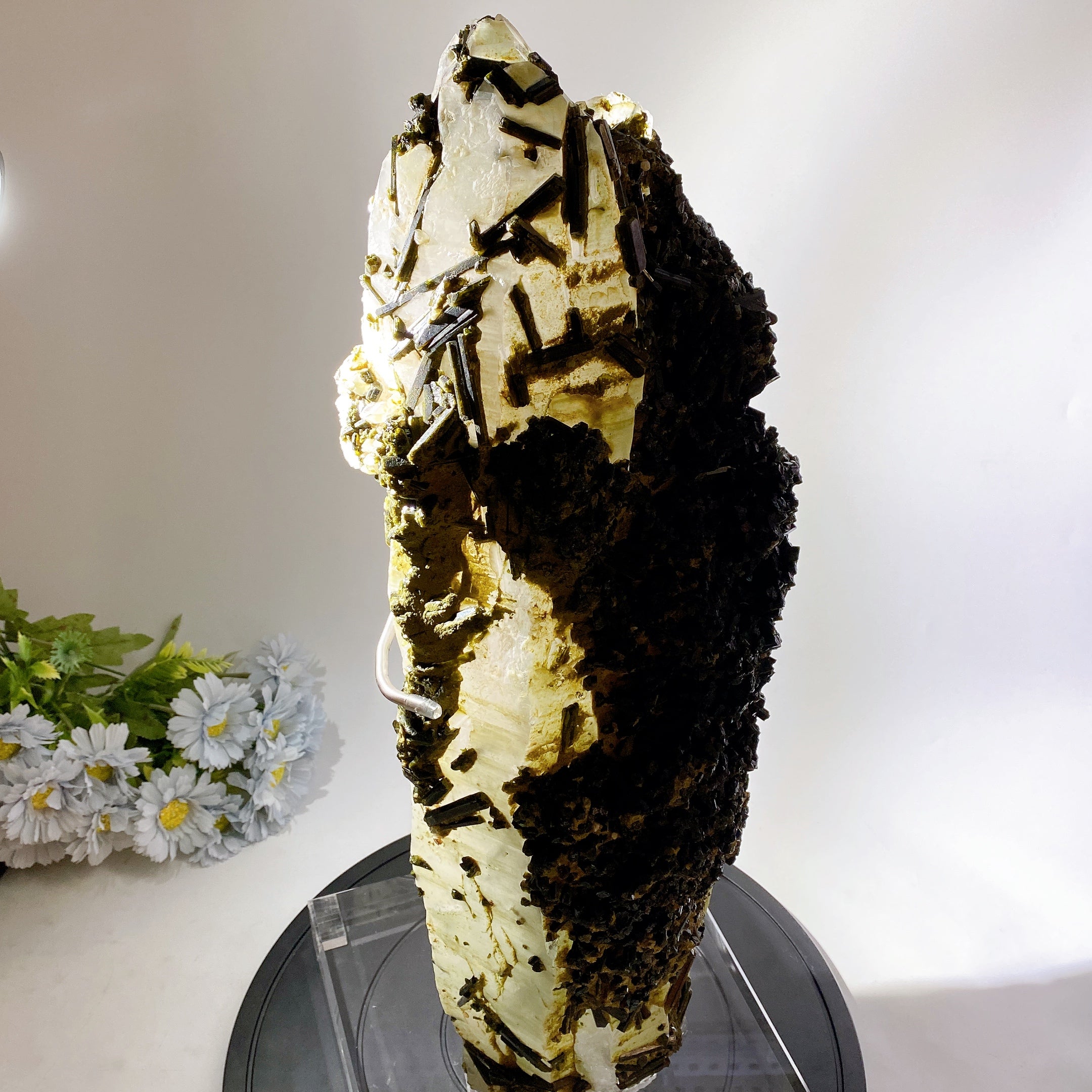 Large Green Tourmaline in Quartz Crystal Specimen 62cm