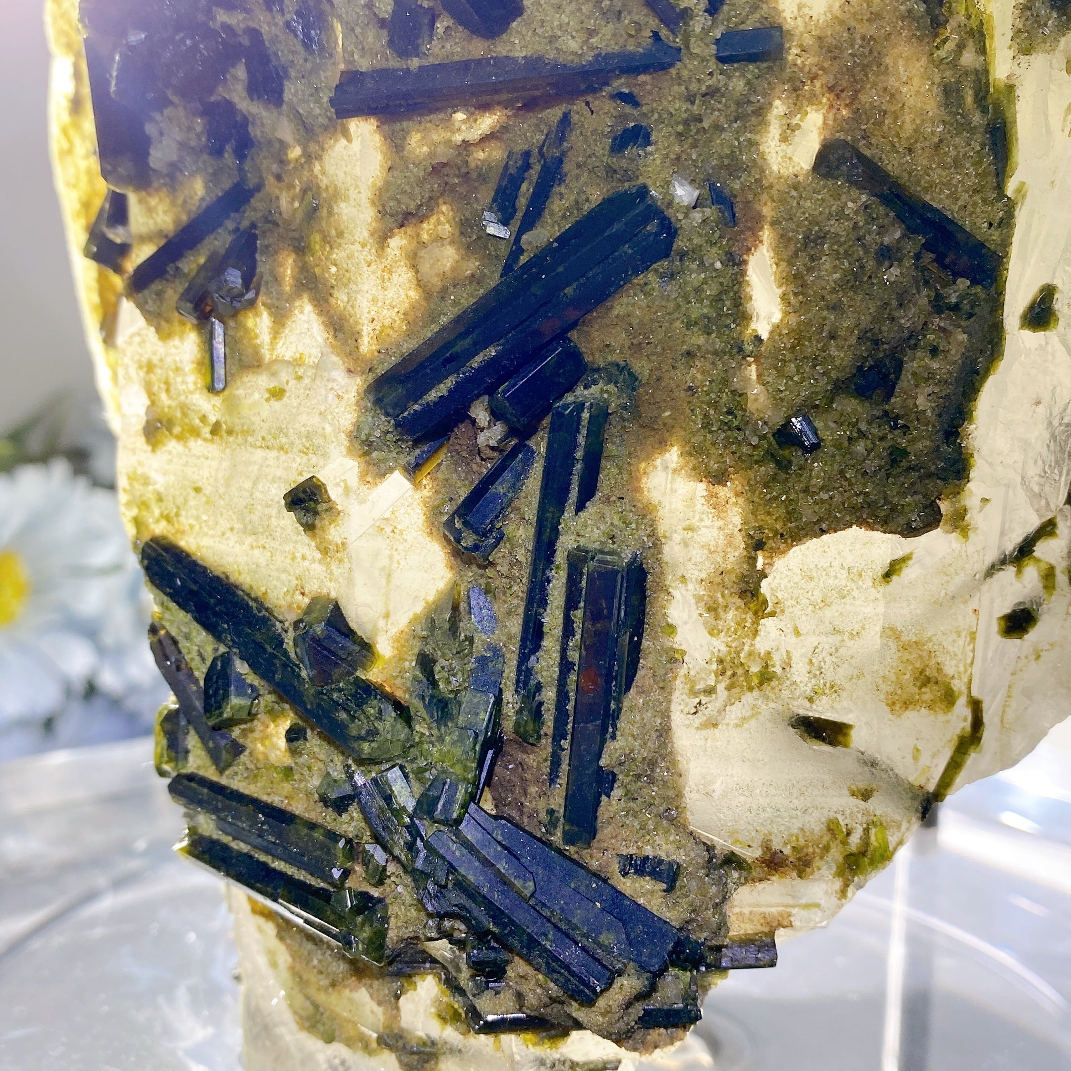 Large Green Tourmaline in Quartz Crystal Specimen 62cm