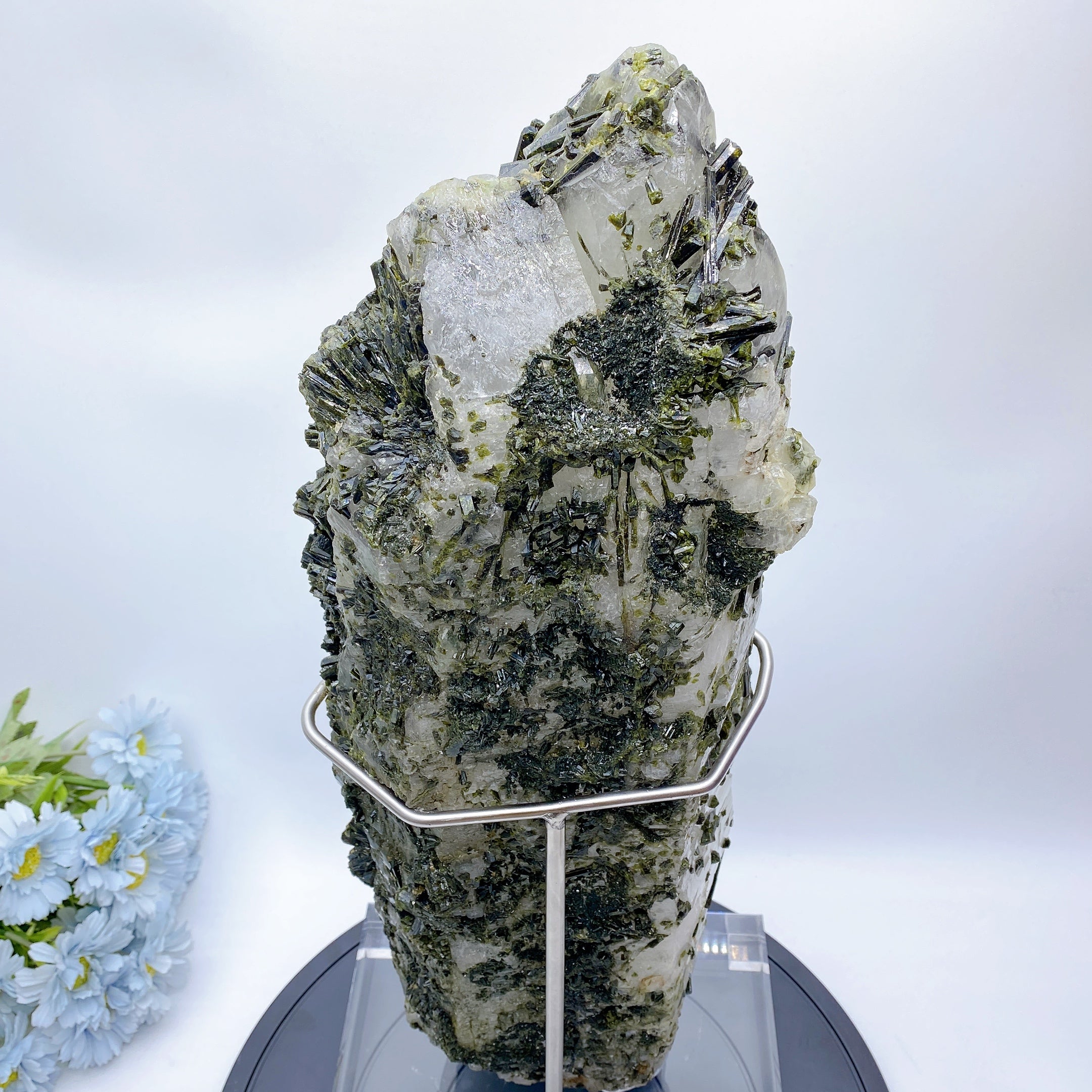 Large Green Tourmaline in Quartz Crystal Specimen 62cm