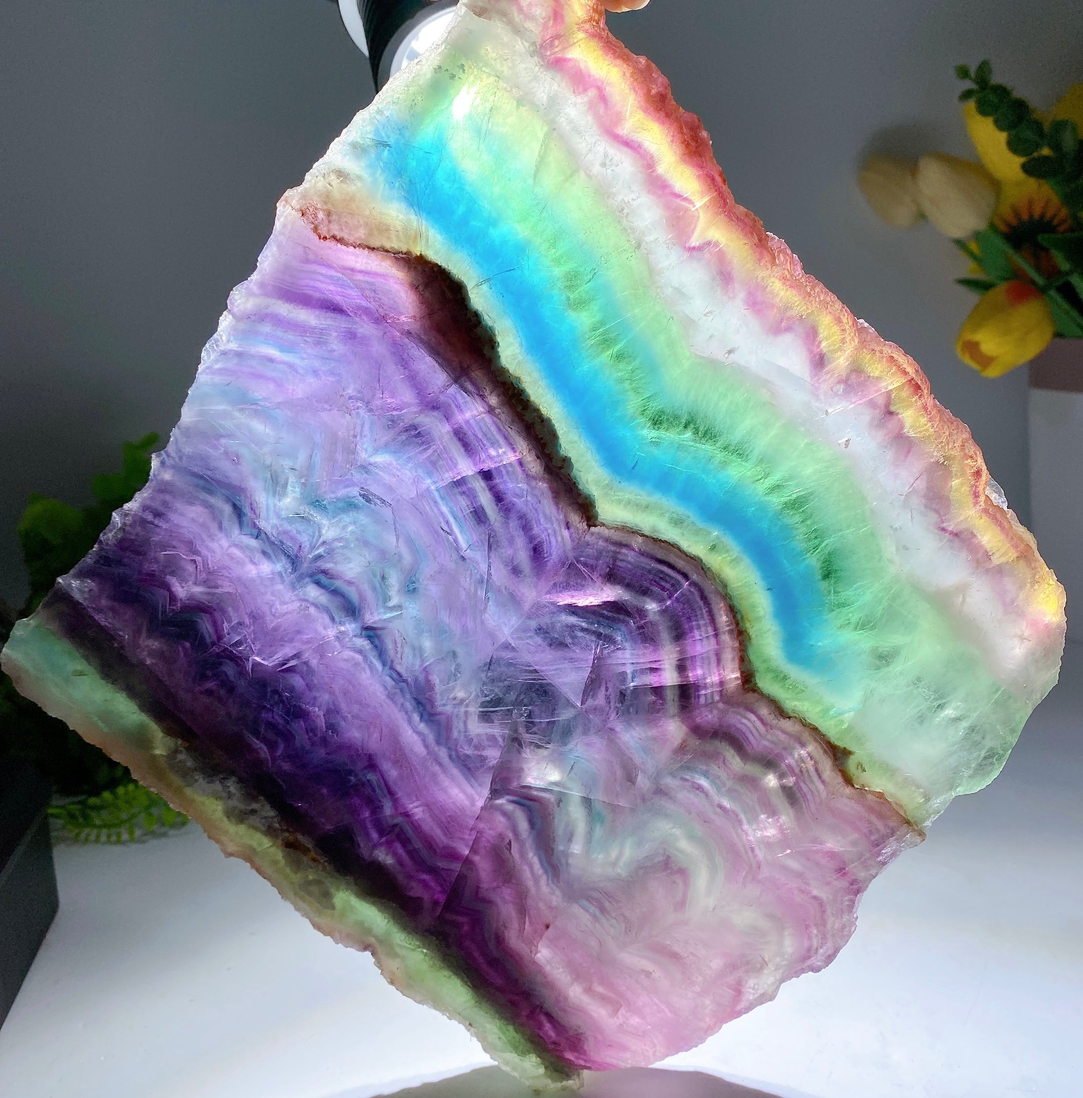 Large Rainbow Fluorite Crystal Slab 21cm with Wooden Stand