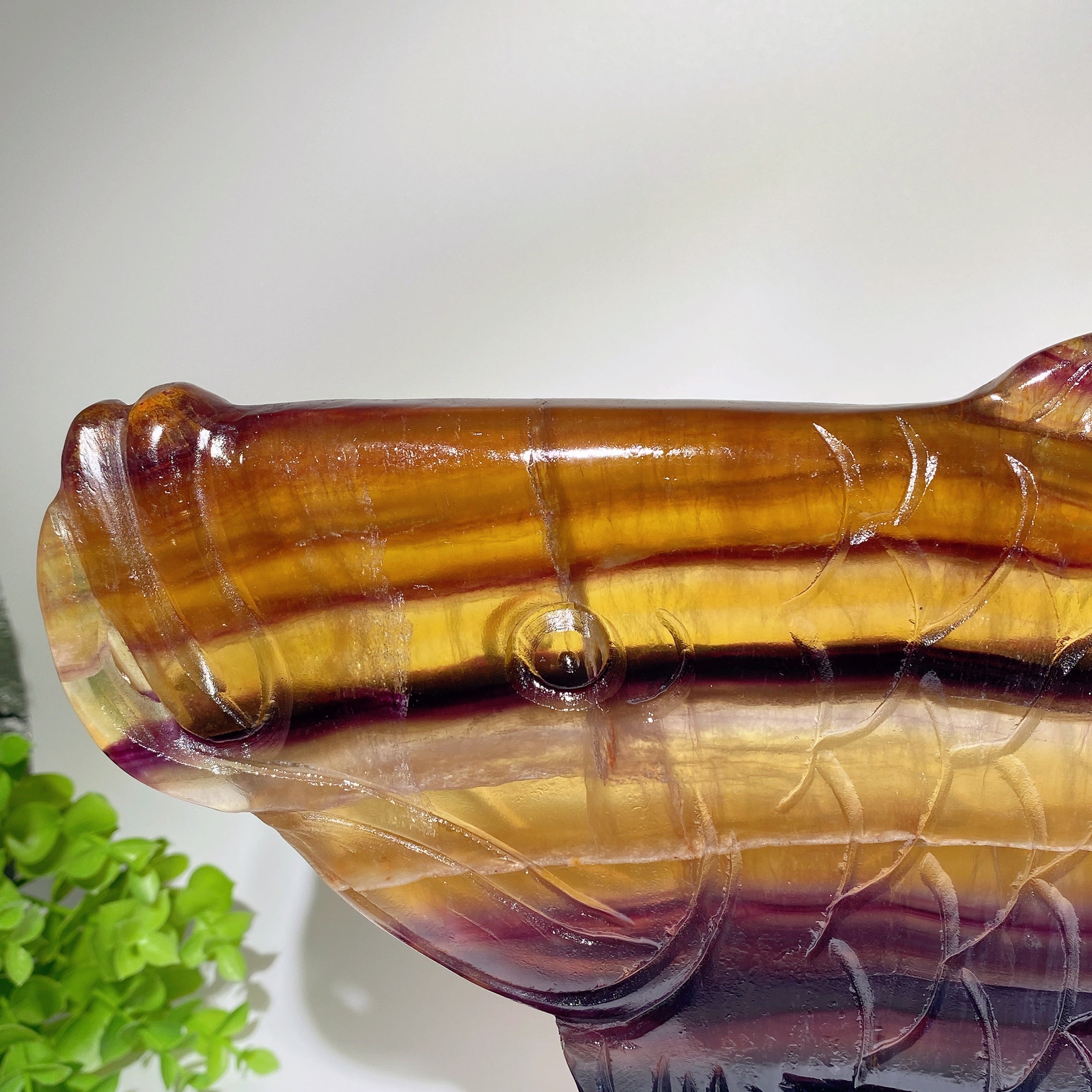 Large Yellow Fluorite Arowana Carving Crystal Animal