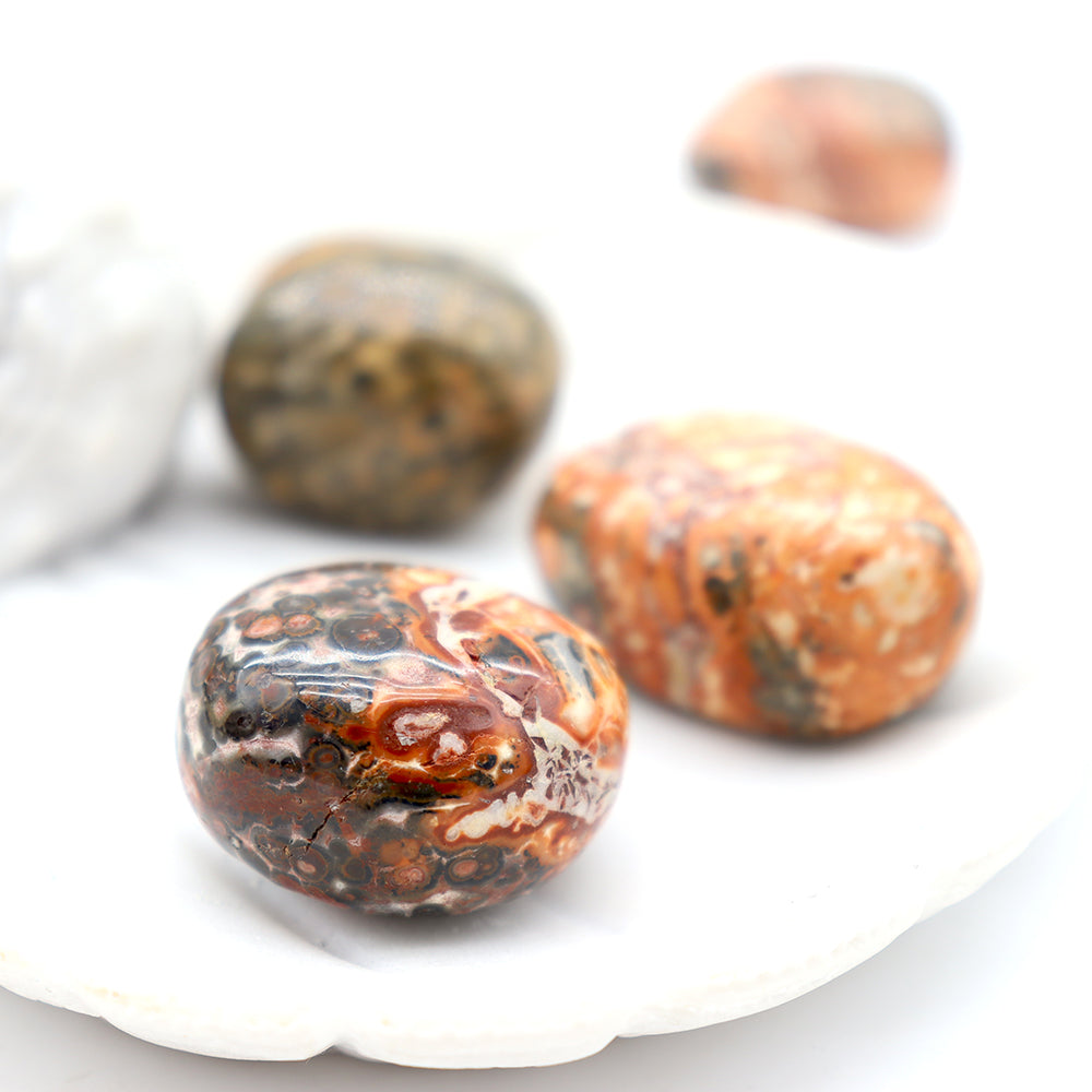 Leopard Skin Jasper Tumbled Stone 0.5kg Healing Energy