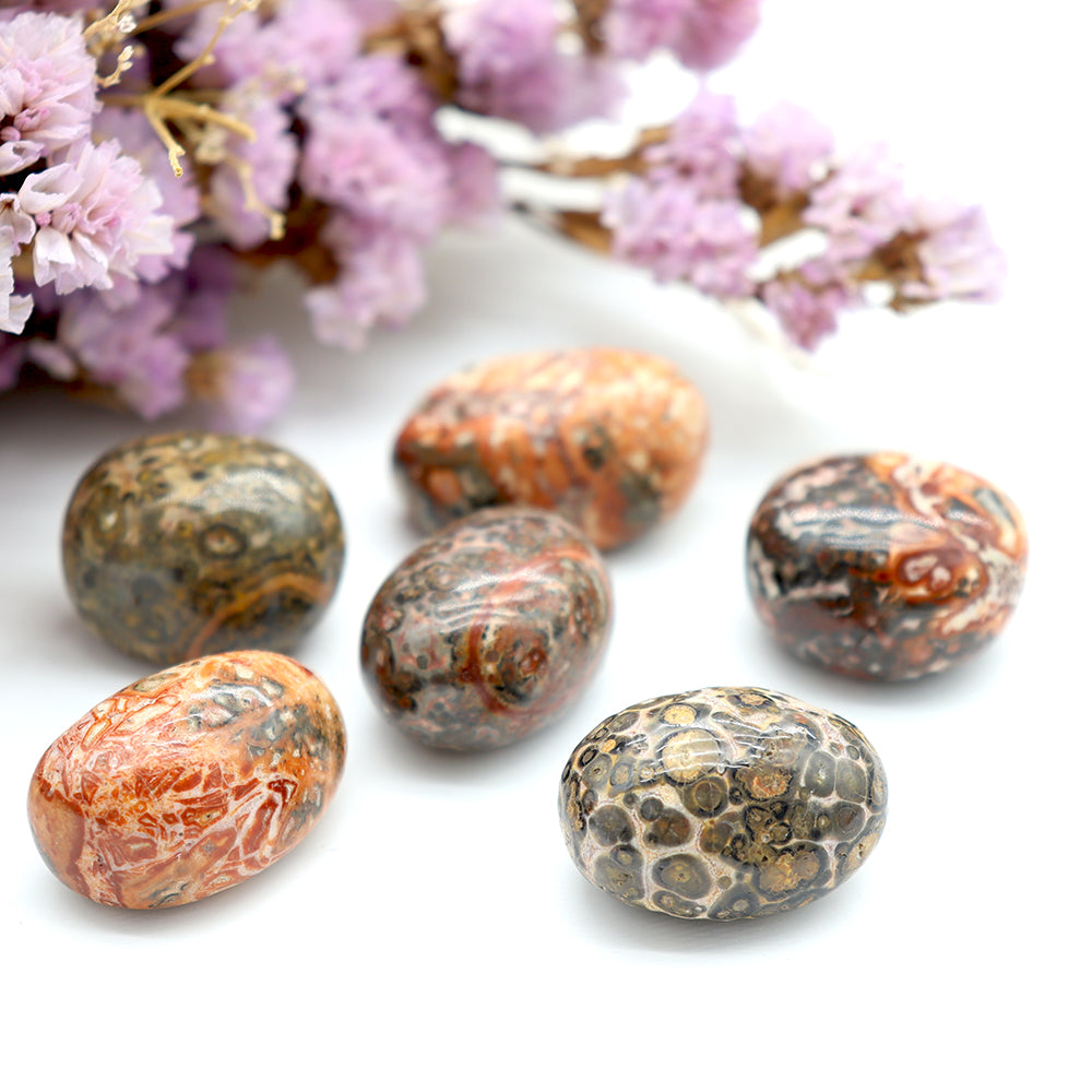 Leopard Skin Jasper Tumbled Stone 0.5kg Healing Energy
