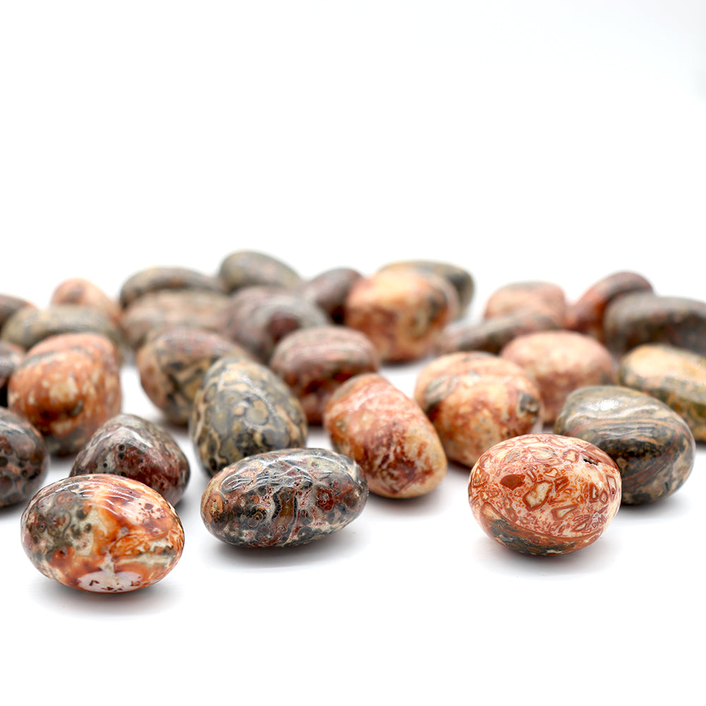 Leopard Skin Jasper Tumbled Stone 0.5kg Healing Energy