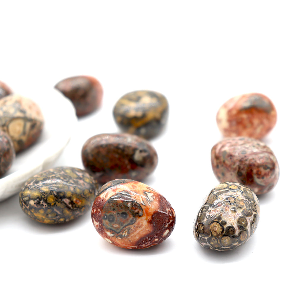 Leopard Skin Jasper Tumbled Stone 0.5kg Healing Energy
