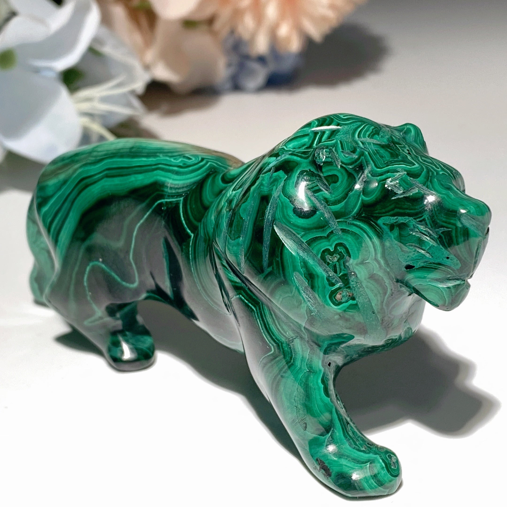 Malachite Crystal Animal Carvings 2.3-5.7 inch Healing Figurines