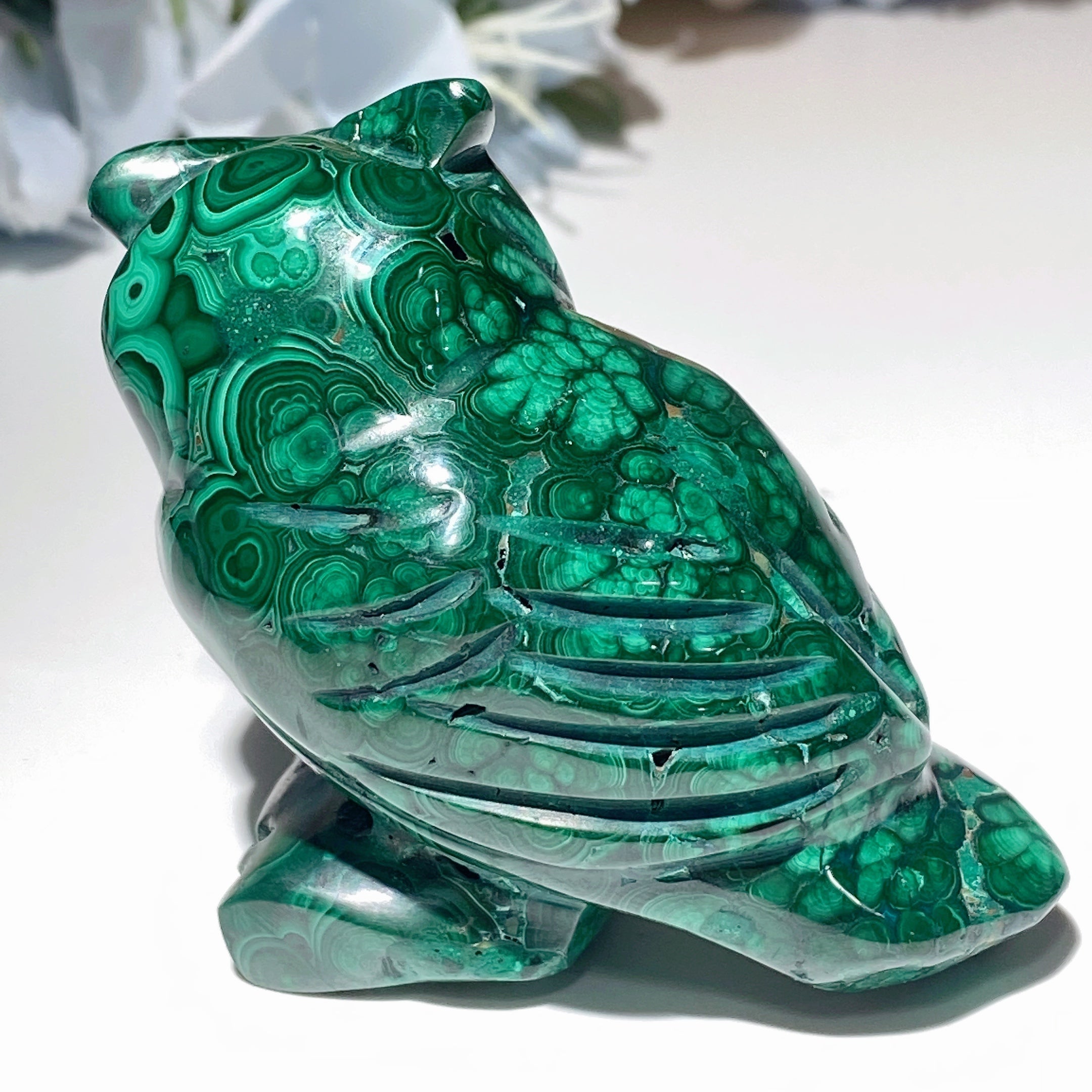 Malachite Crystal Animal Carvings 2.3-5.7 inch Healing Figurines