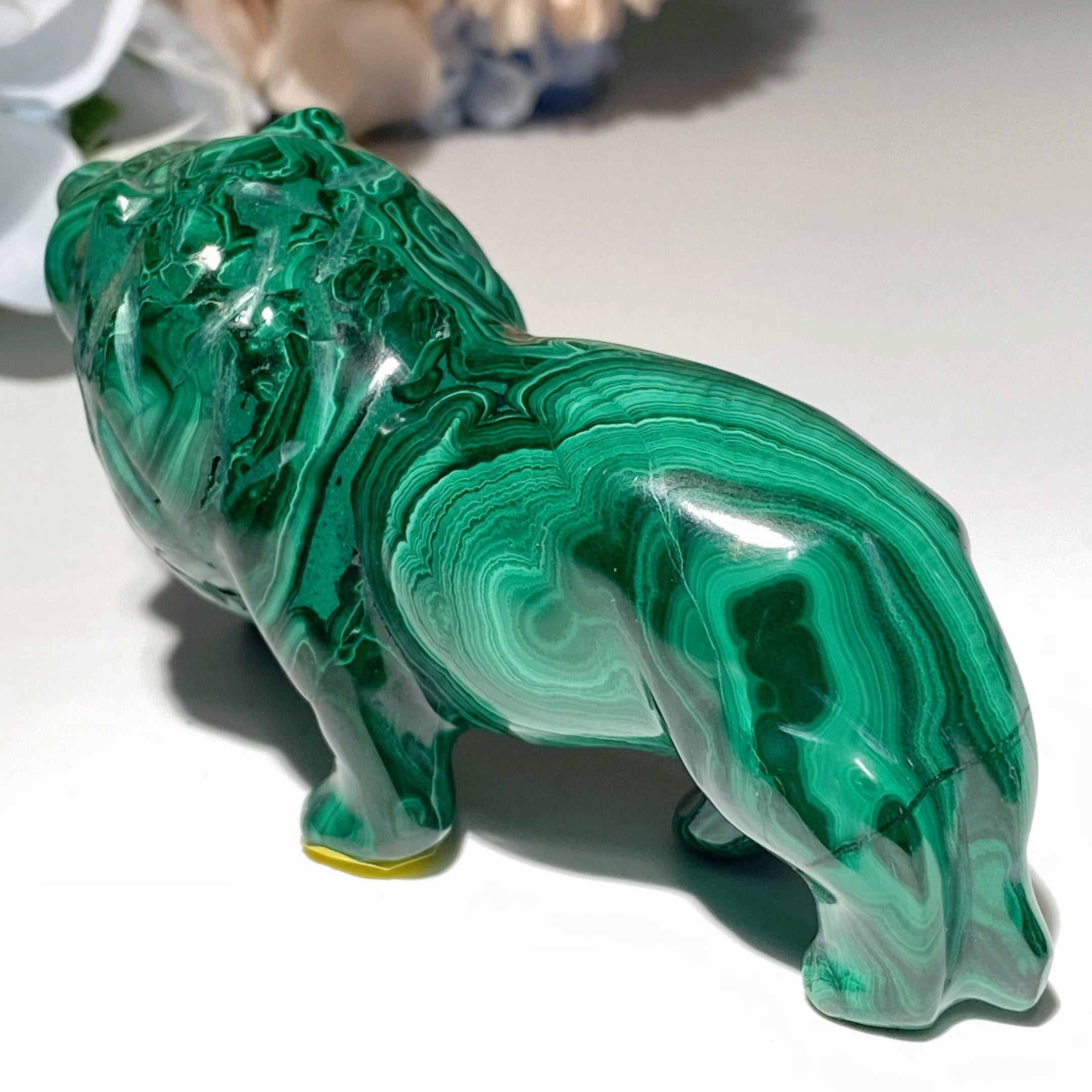 Malachite Crystal Animal Carvings 2.3-5.7 inch Healing Figurines