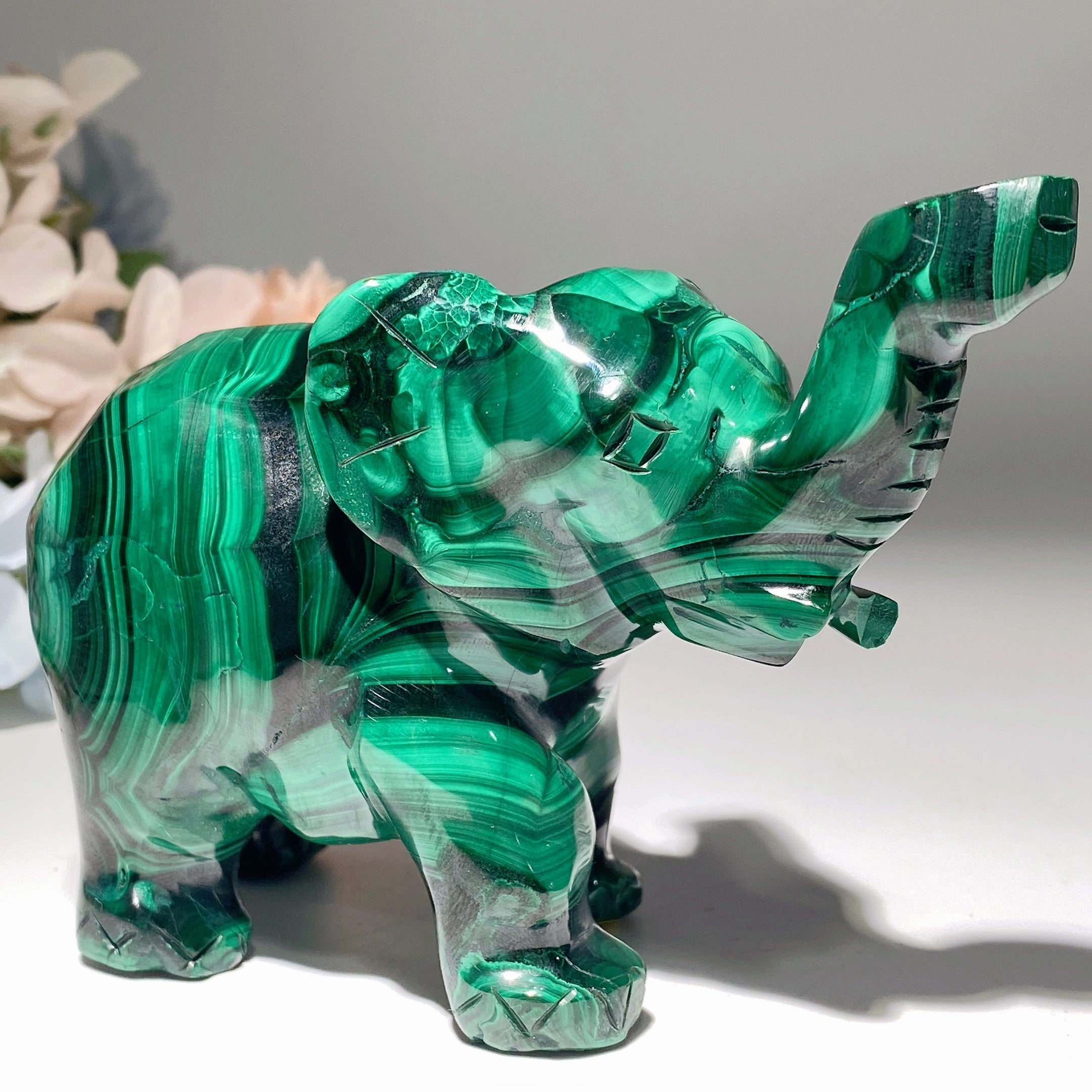 Malachite Crystal Animal Carvings 2.3-5.7 inch Healing Figurines