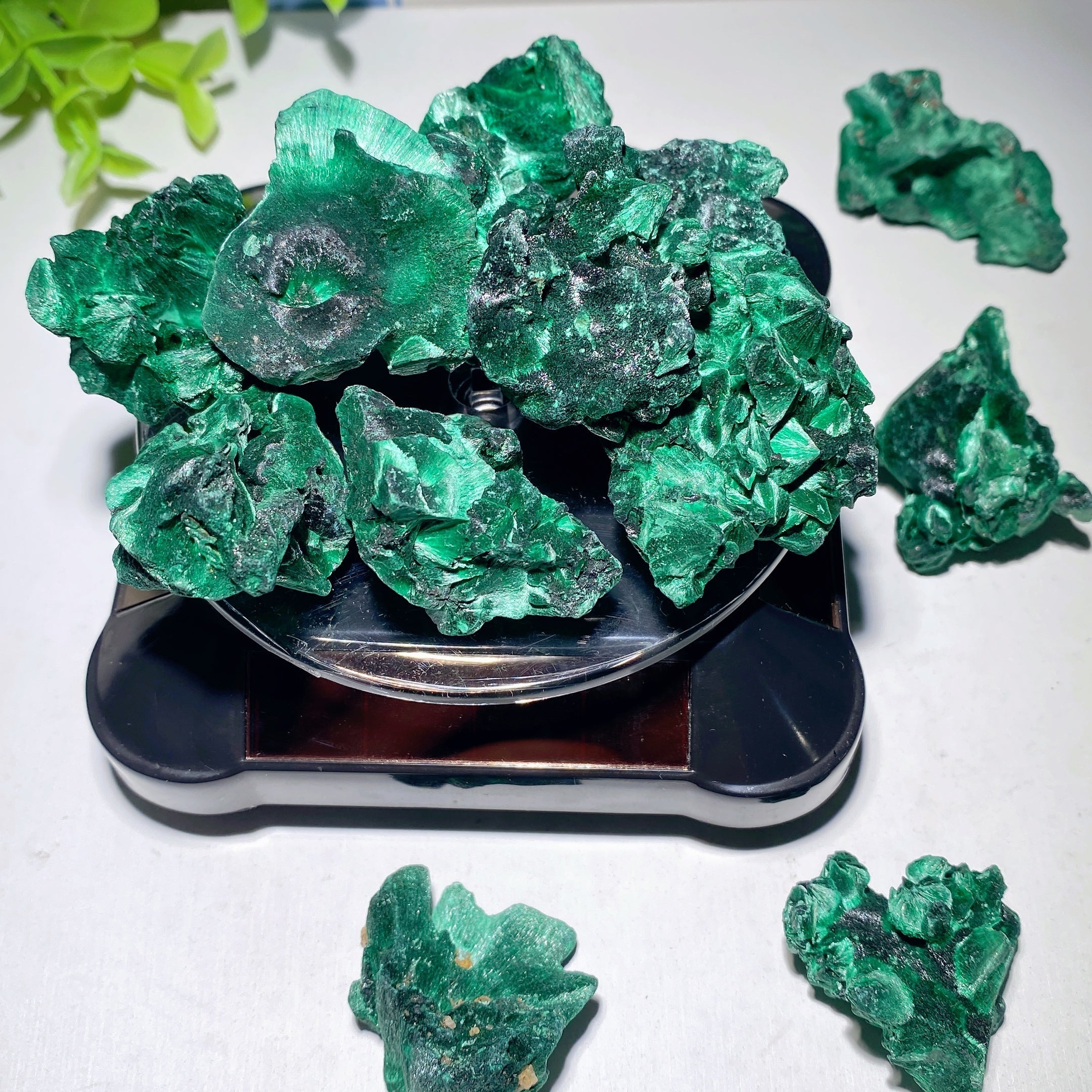 Malachite Raw Chunks 20-50mm Healing Crystals