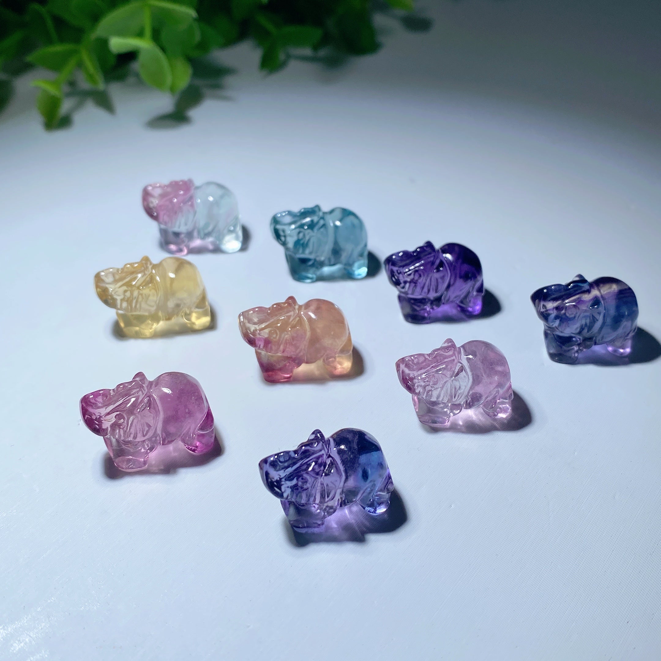 Mini Fluorite Crystal Animal Carvings 12-20mm for Healing