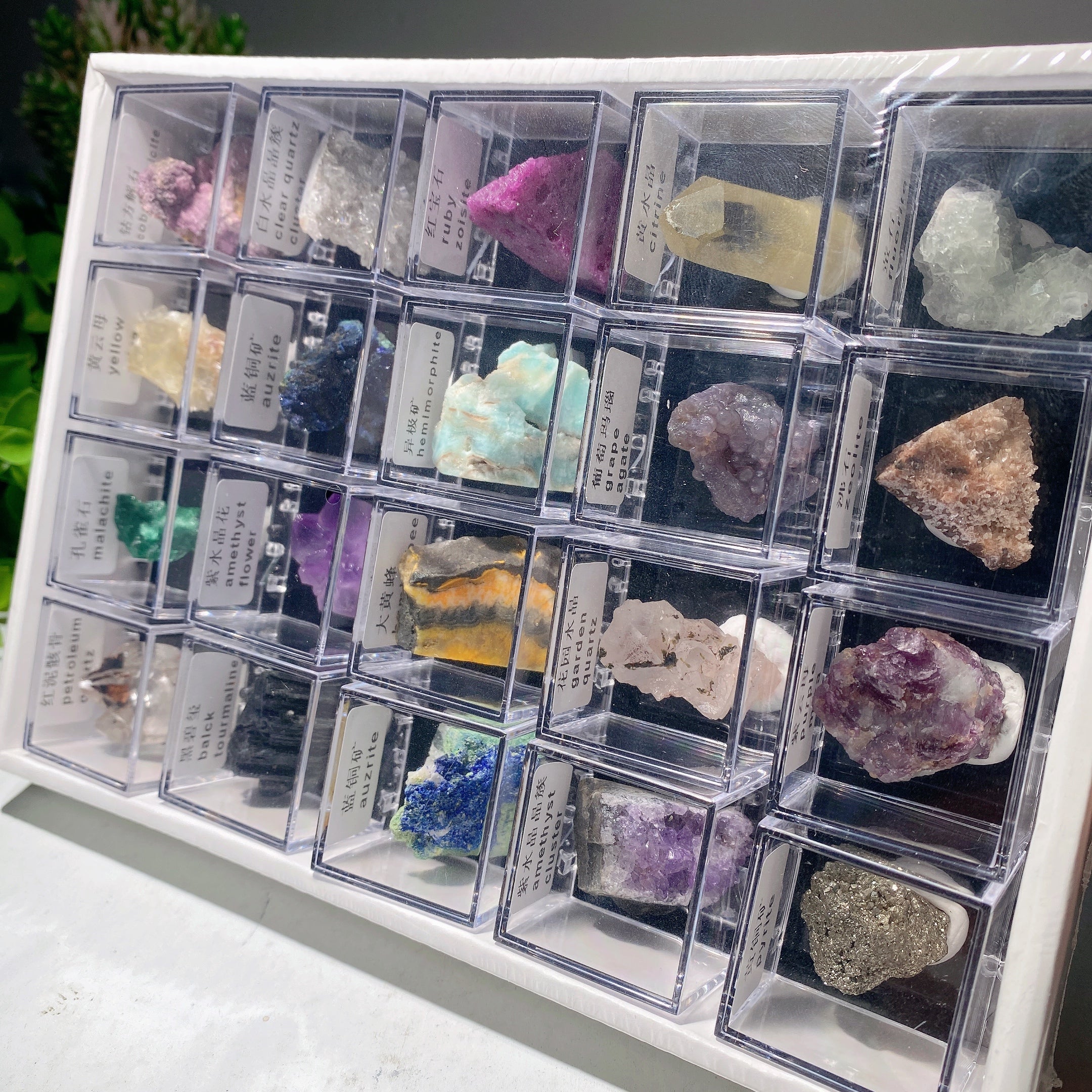 Mixed Crystal Specimen Display Box 530g Collection Set