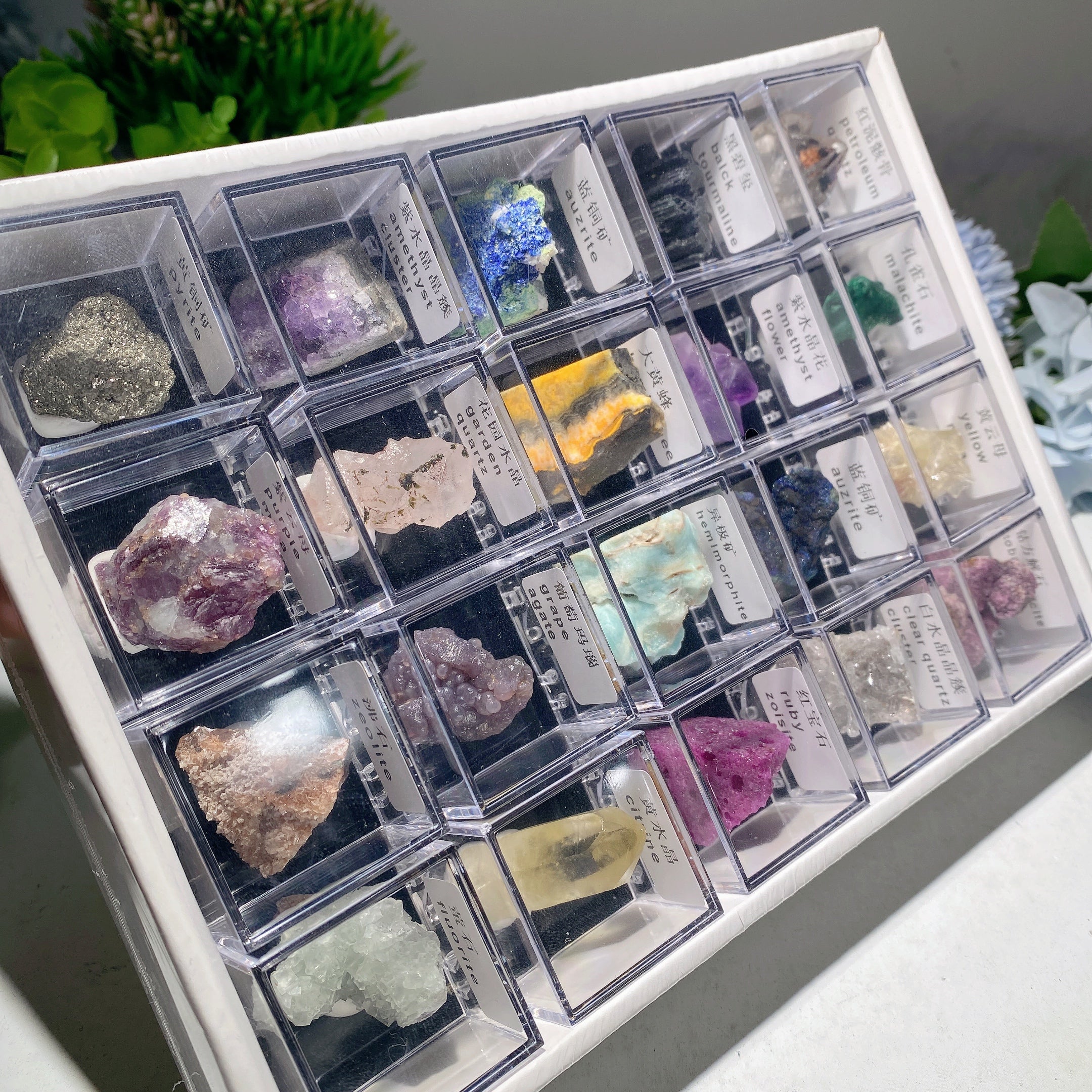 Mixed Crystal Specimen Display Box 530g Collection Set