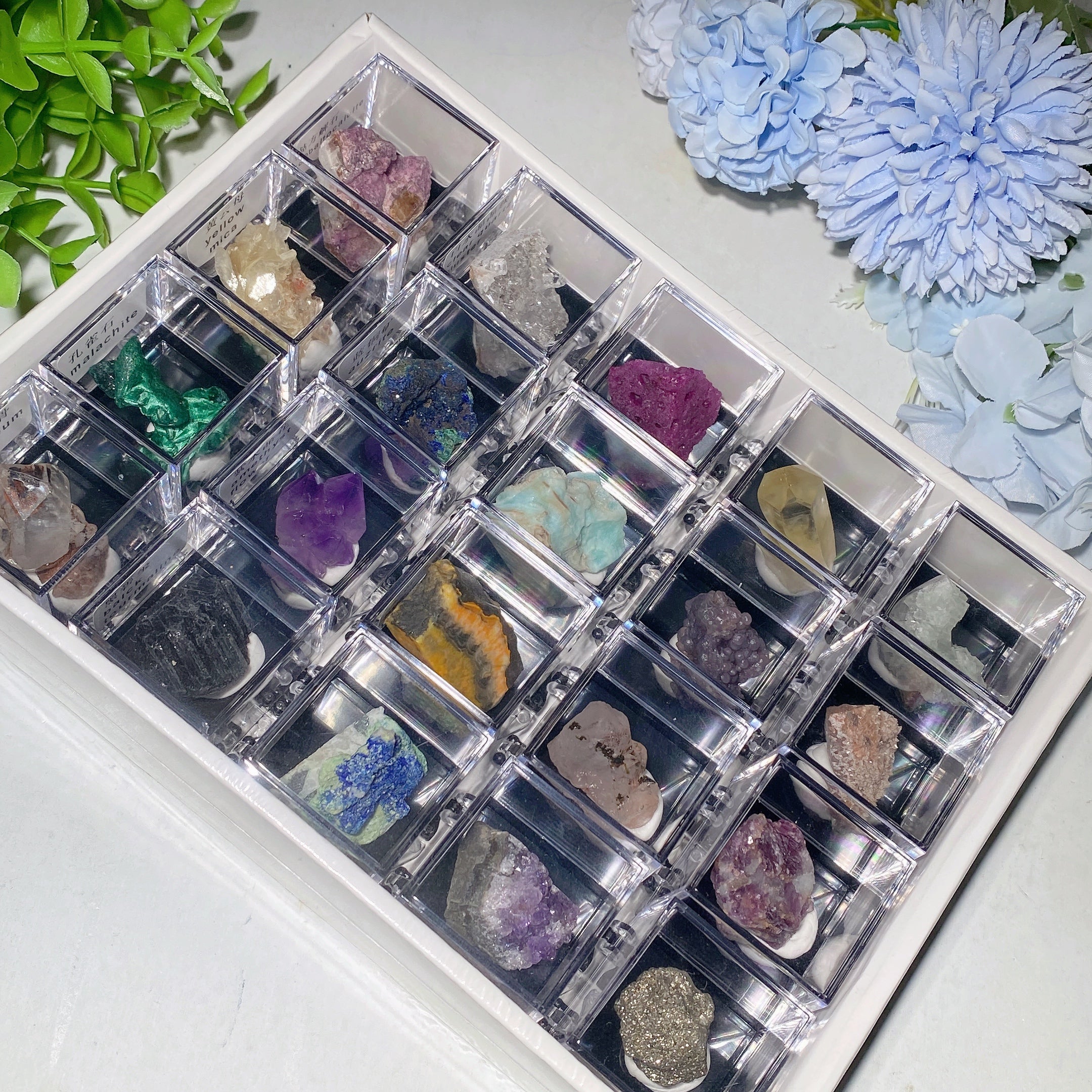 Mixed Crystal Specimen Display Box 530g Collection Set