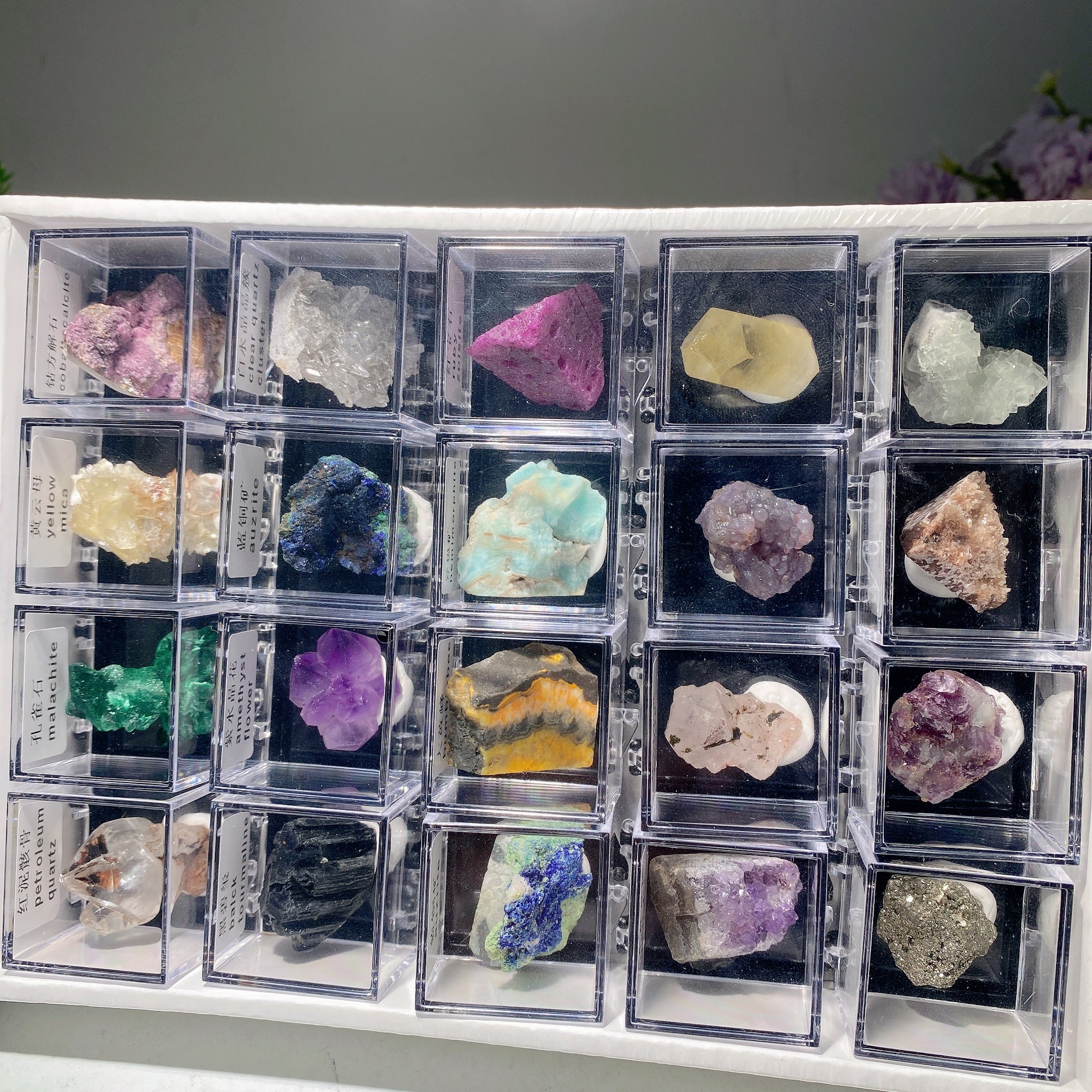 Mixed Crystal Specimen Display Box 530g Collection Set