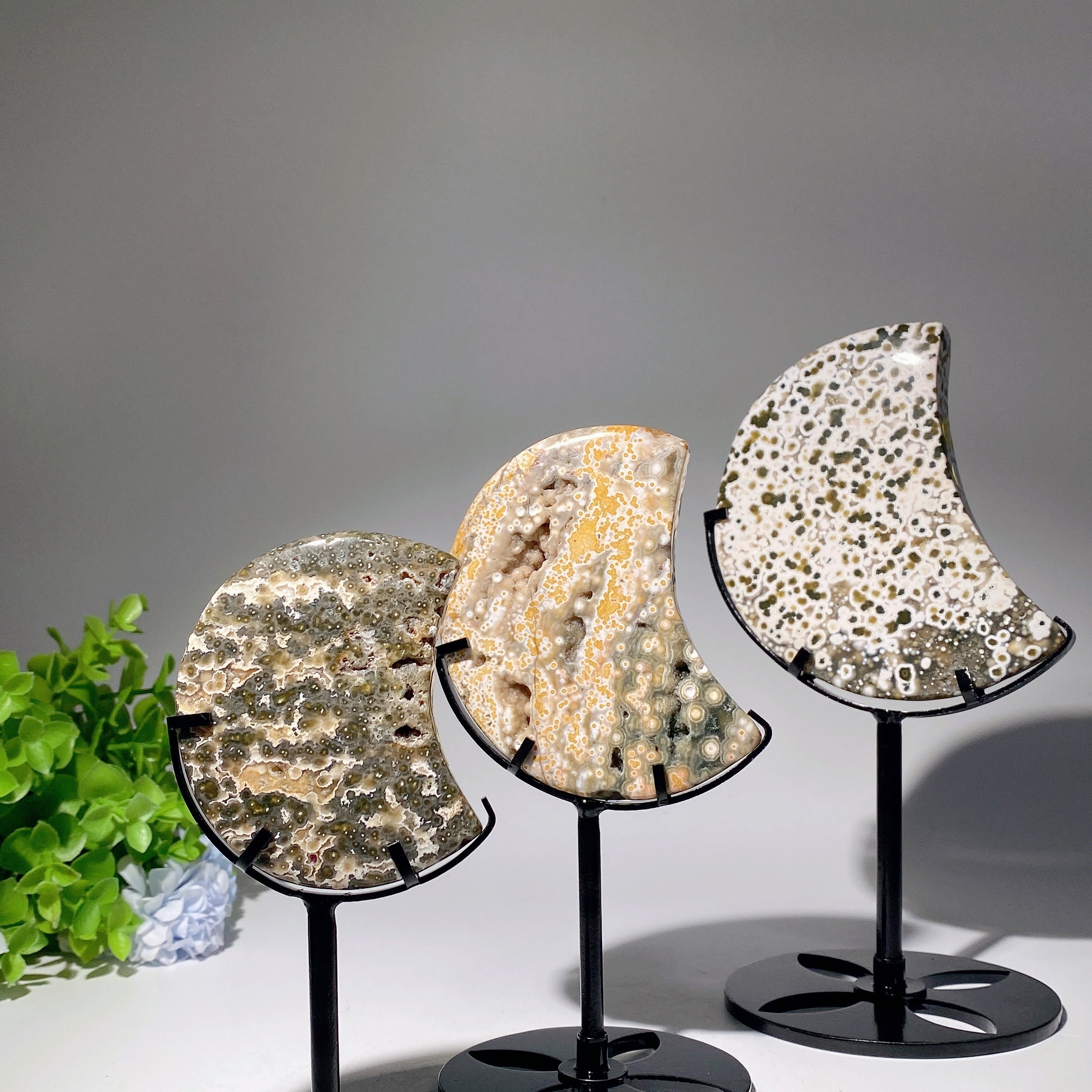 Ocean Jasper Moon Crystal 2.5-4.6 Inches for Healing