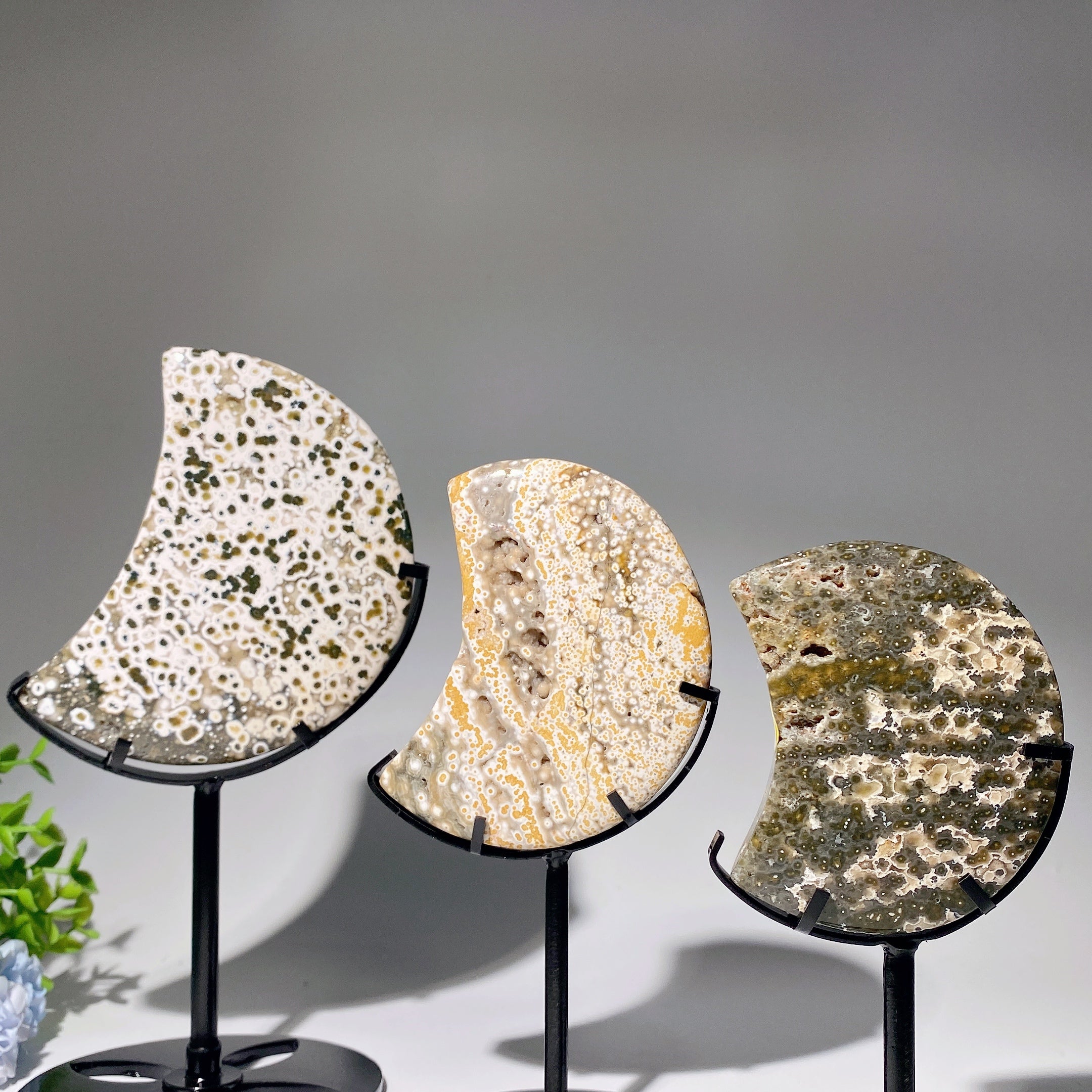 Ocean Jasper Moon Crystal 2.5-4.6 Inches for Healing