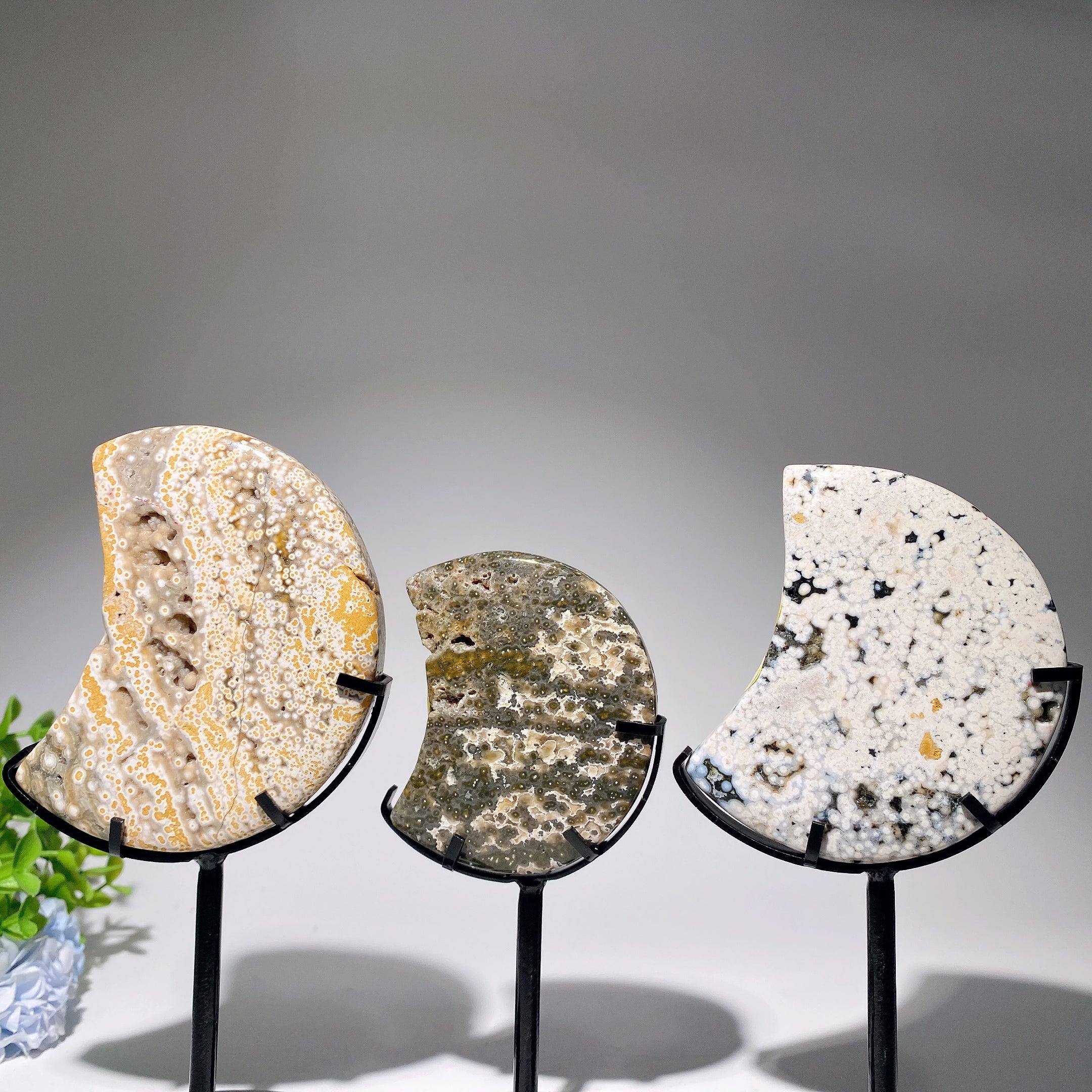 Ocean Jasper Moon Crystal 2.5-4.6 Inches for Healing