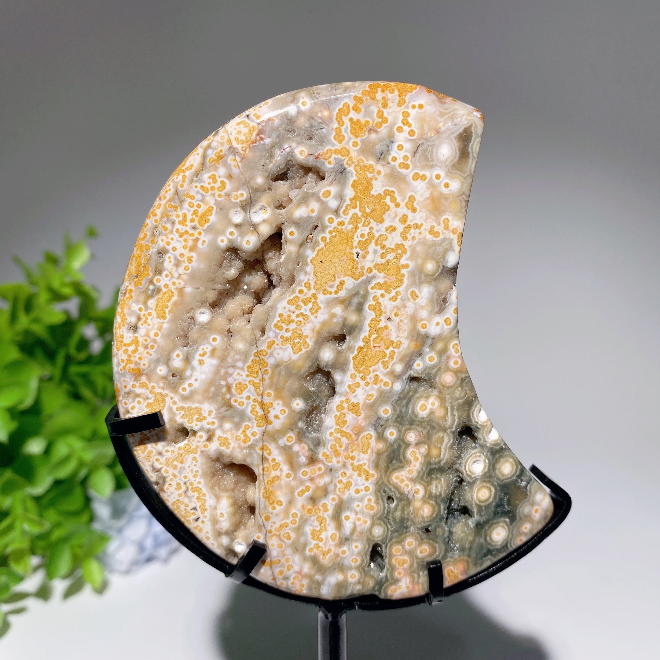 Ocean Jasper Moon Crystal 2.5-4.6 Inches for Healing